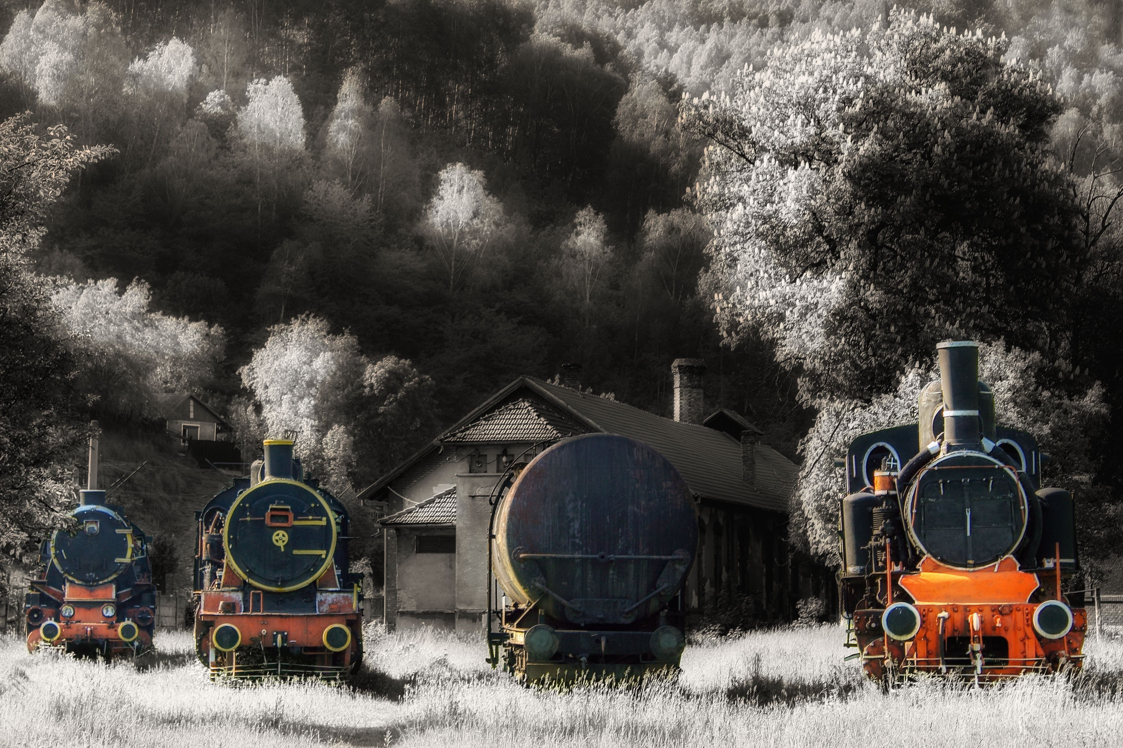 steam train, rail transportation, field, land vehicle, railroad track, transportation, railway, no people, train, land, day, depot, nature, tree, steam-engine, HD Wallpaper