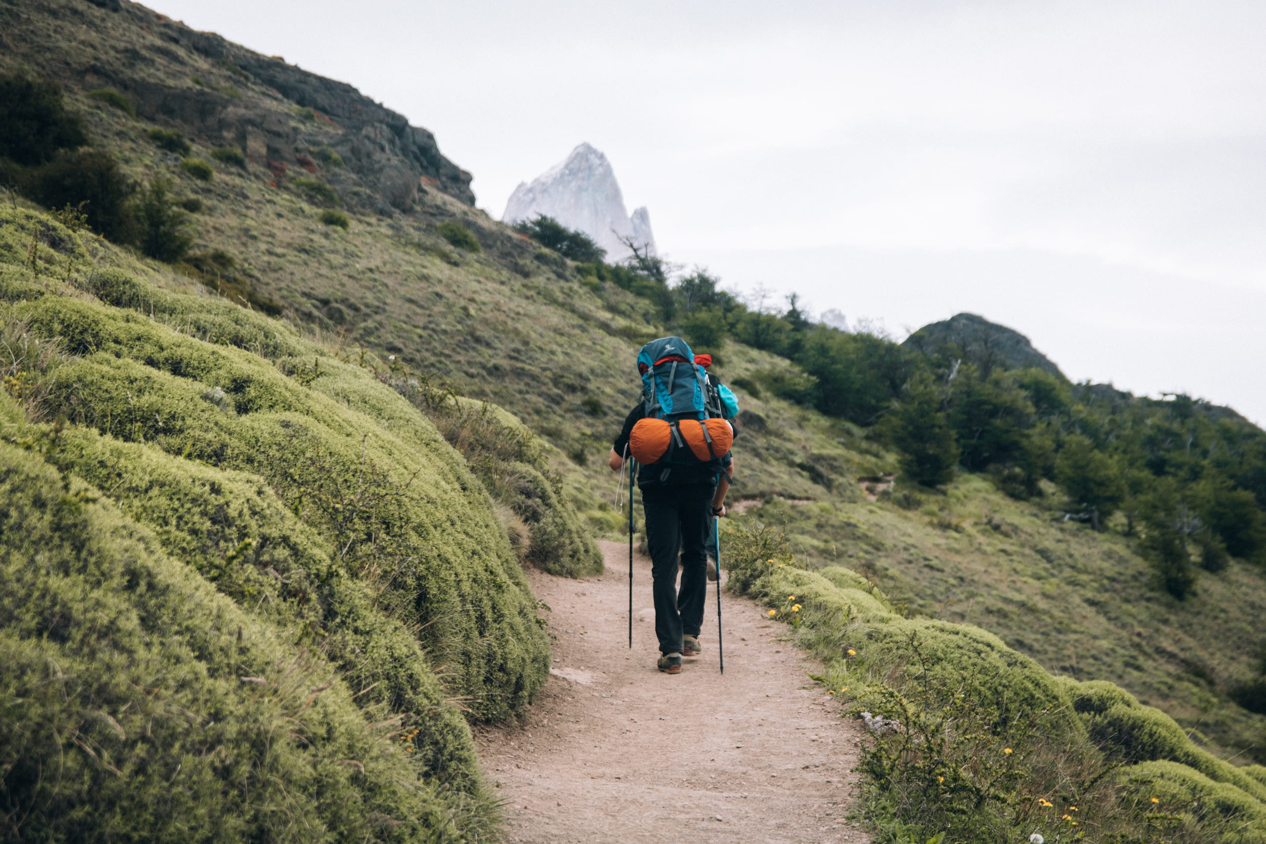 hiking, footpath, hill, mountain, trail, person, plant, mountain range, scenics - nature, trike, vacations, travel, backpack, bush, rear view, adventure, HD Wallpaper