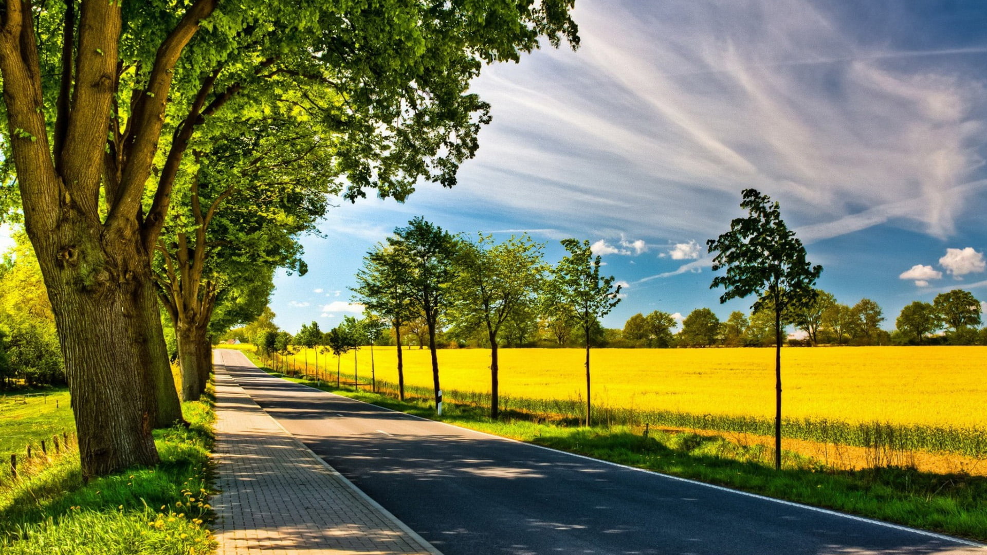 environment, field, yellow, garden, dividing line, cloud, autumn, agriculture, grass, road, park, clouds, trees, rural, tranquil scene, treelined, country, HD Wallpaper