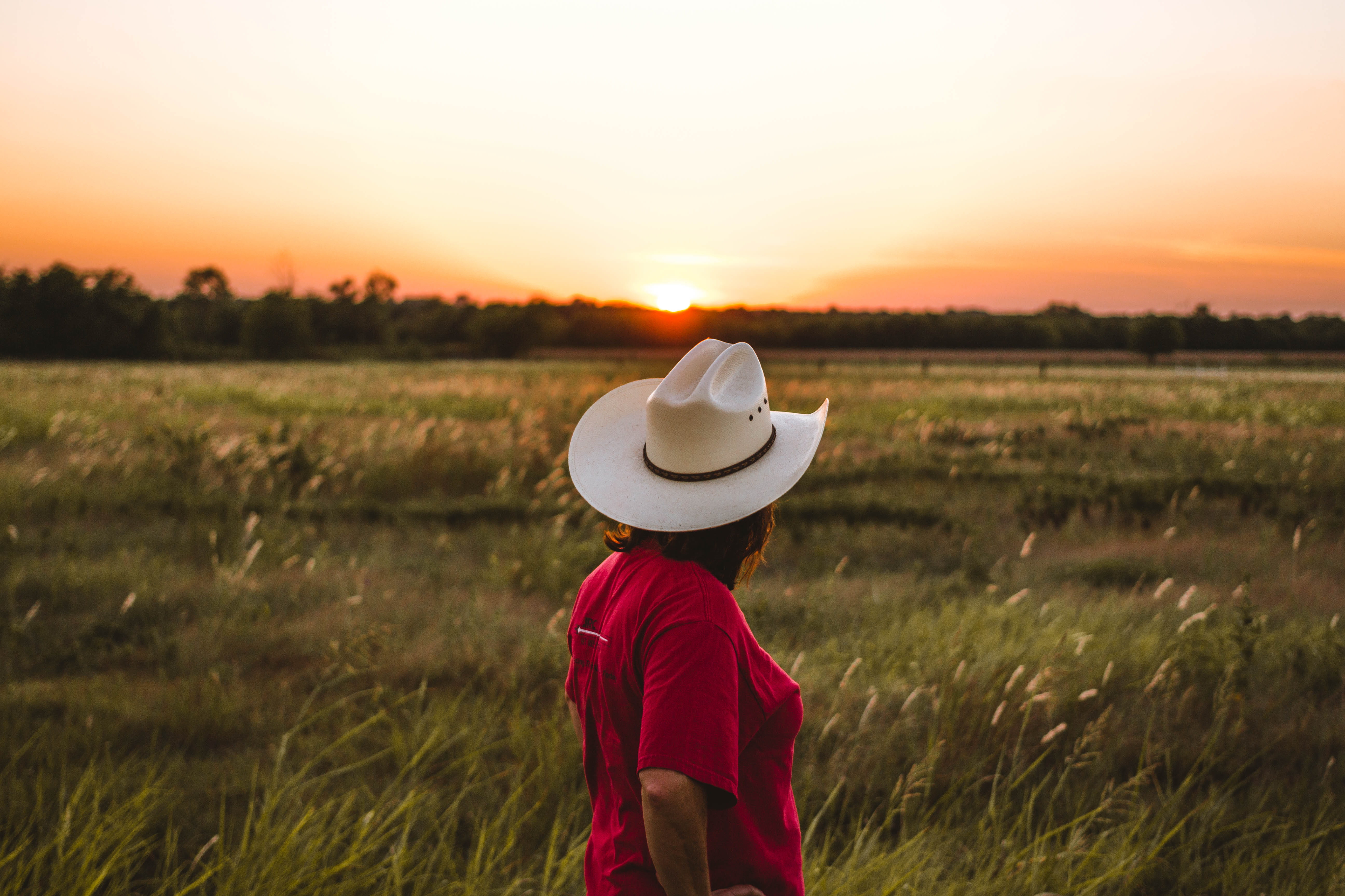 grass, child, golden, outdoors, orange, red, beauty in nature, shirt, casual clothing, field, scenics - nature, nature, 5K, landscape, sunset, green, cowboy, HD Wallpaper