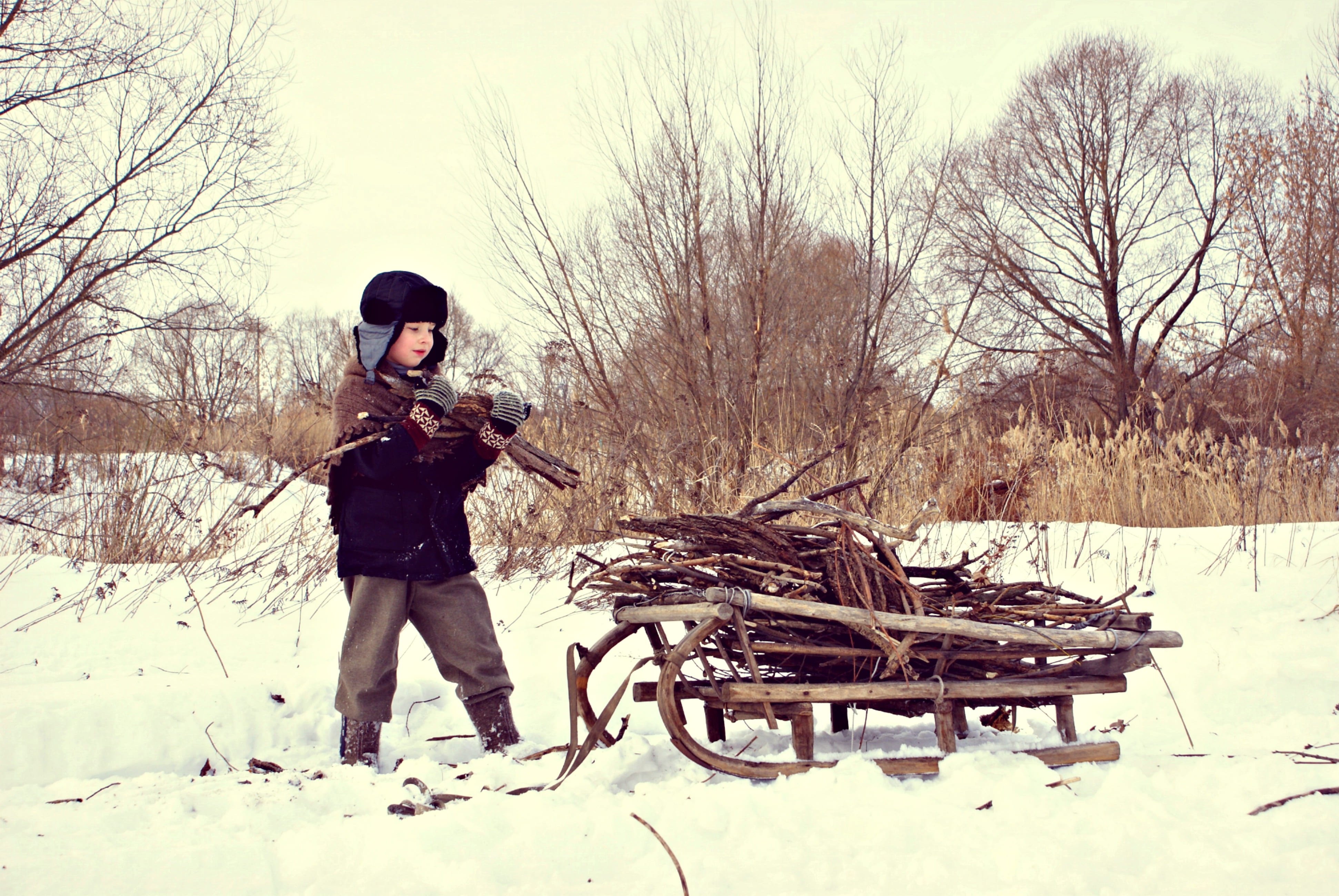 hostilities, the ussr, clothing, wartime, brown, snow, volgograd, lifestyles, nature, front view, land, boy, field, firewood, pilling, day, blockade, leningrad, HD Wallpaper