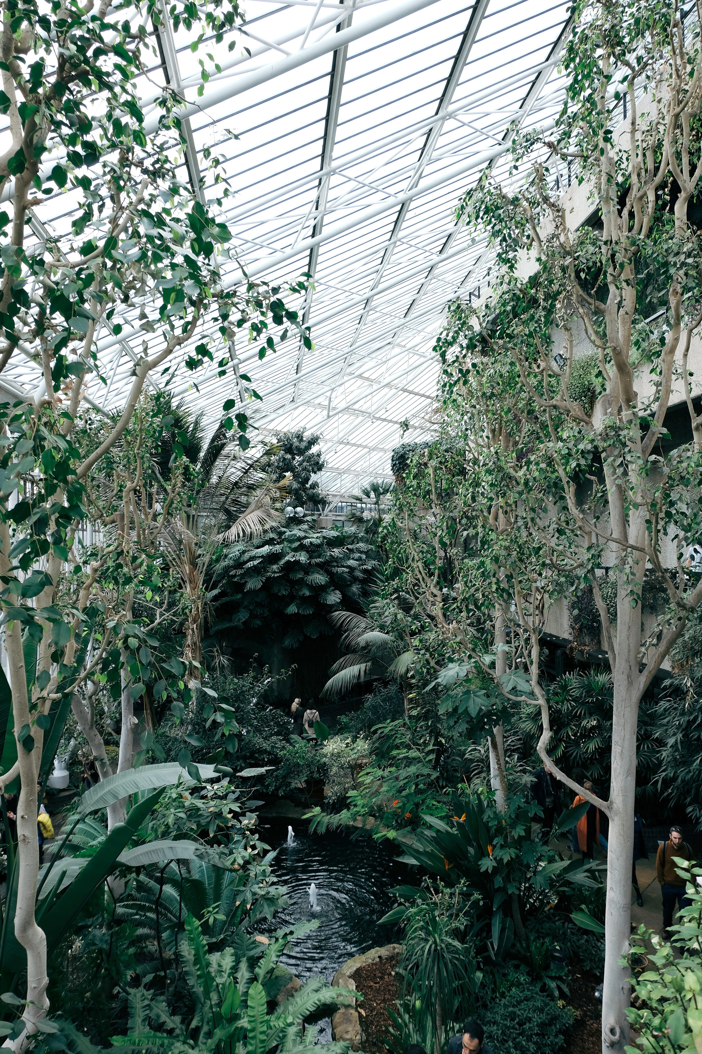 united kingdom, plant part, forest, garden, day, beauty in nature, science, no people, ceiling, greenhouse, nature, botany, london, trees, indoor, leaf, Phone HD Wallpaper
