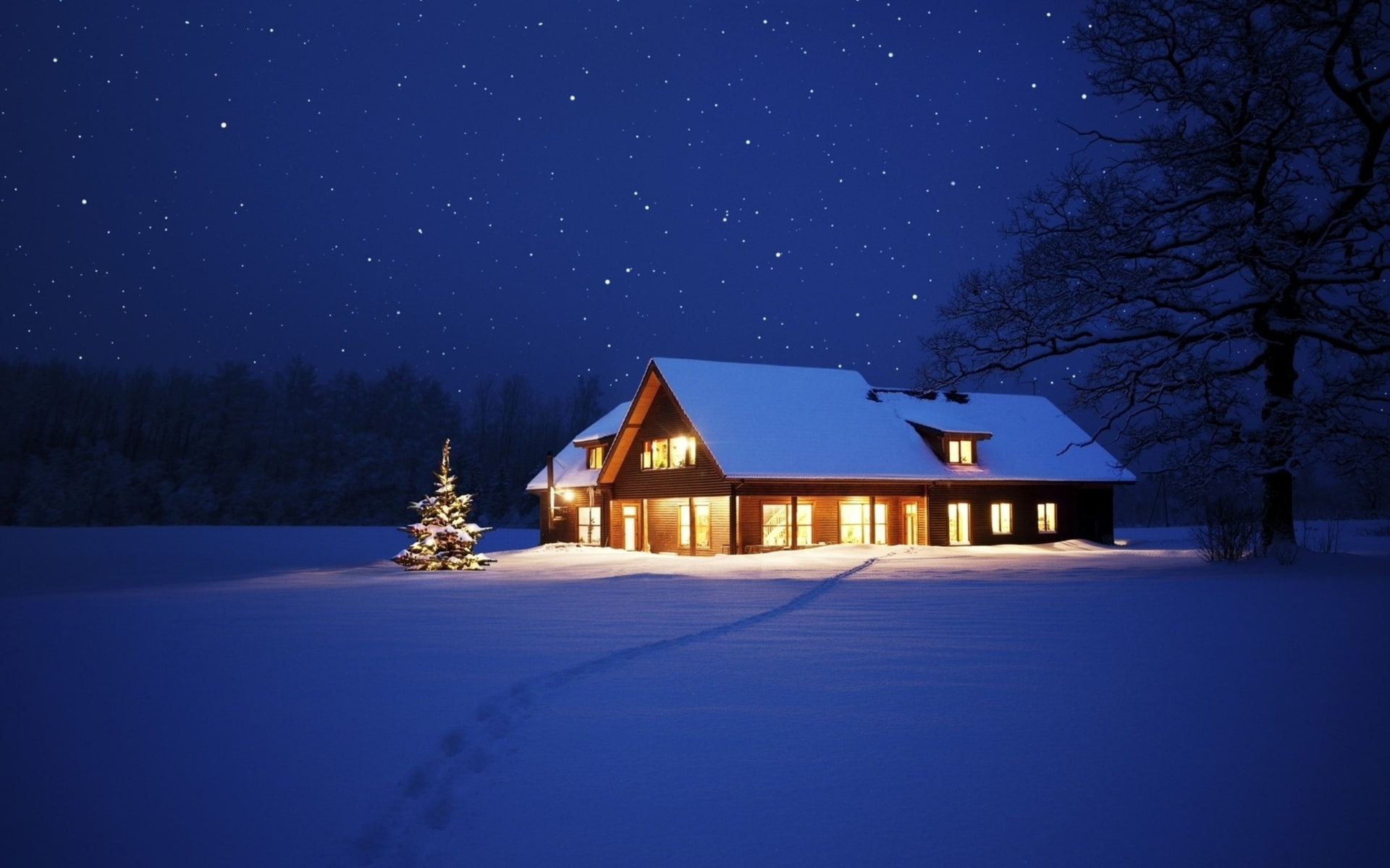 snow, christmas, tracks, stars, seasonal, path, night, sky, 1080P, seasons, Holidays, trees, lights, winter, nature, HD Wallpaper