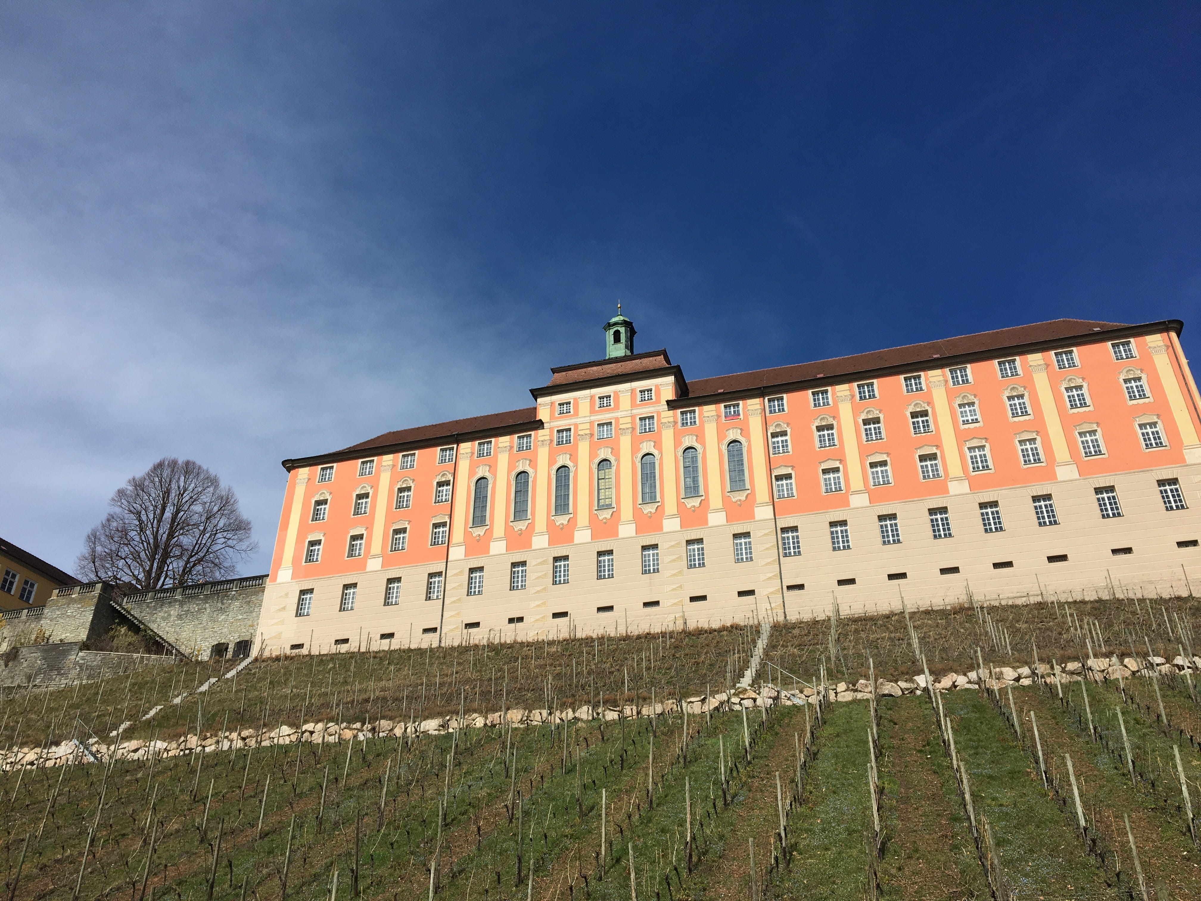 hübel, cloud - sky, 4K, building exterior, wall - building feature, the past, vineyard, tree, building, children, education, high school, travel, meersbug, HD Wallpaper