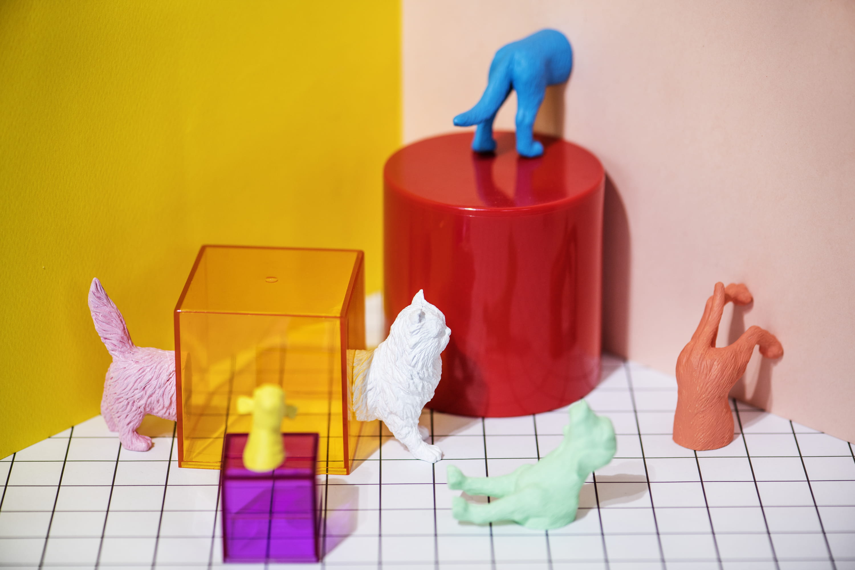 washing up glove, cat, assorted, red, 2K, animal, indoors, colors, hygiene, tiled floor, bucket, shape, feline, cleaning equipment, figures, flooring, HD Wallpaper