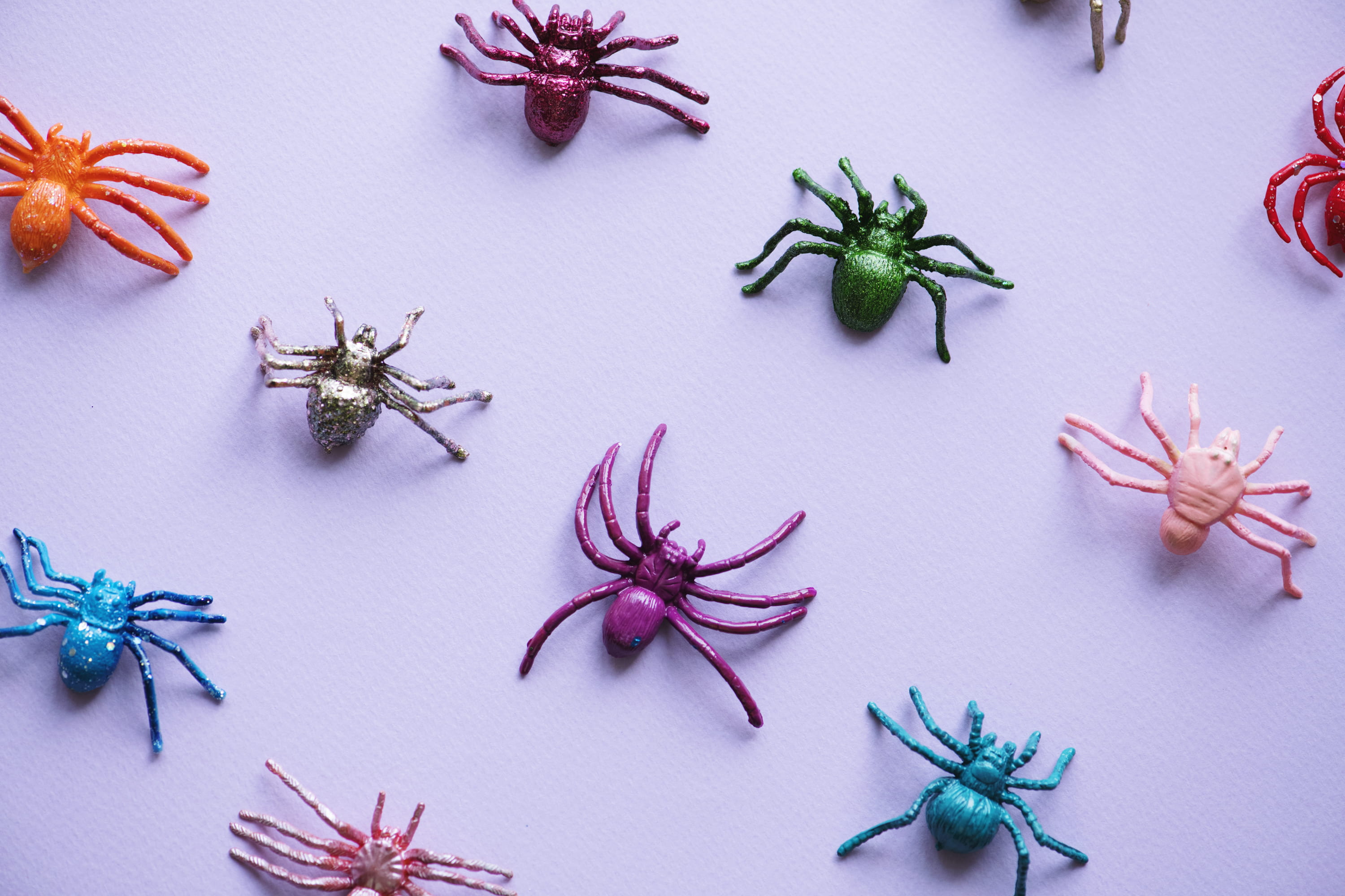 no people, representation, still life, toy, spice, animal, star anise, bright, indoors, collection, spider, ornate, biology, background, play, assorted, HD Wallpaper