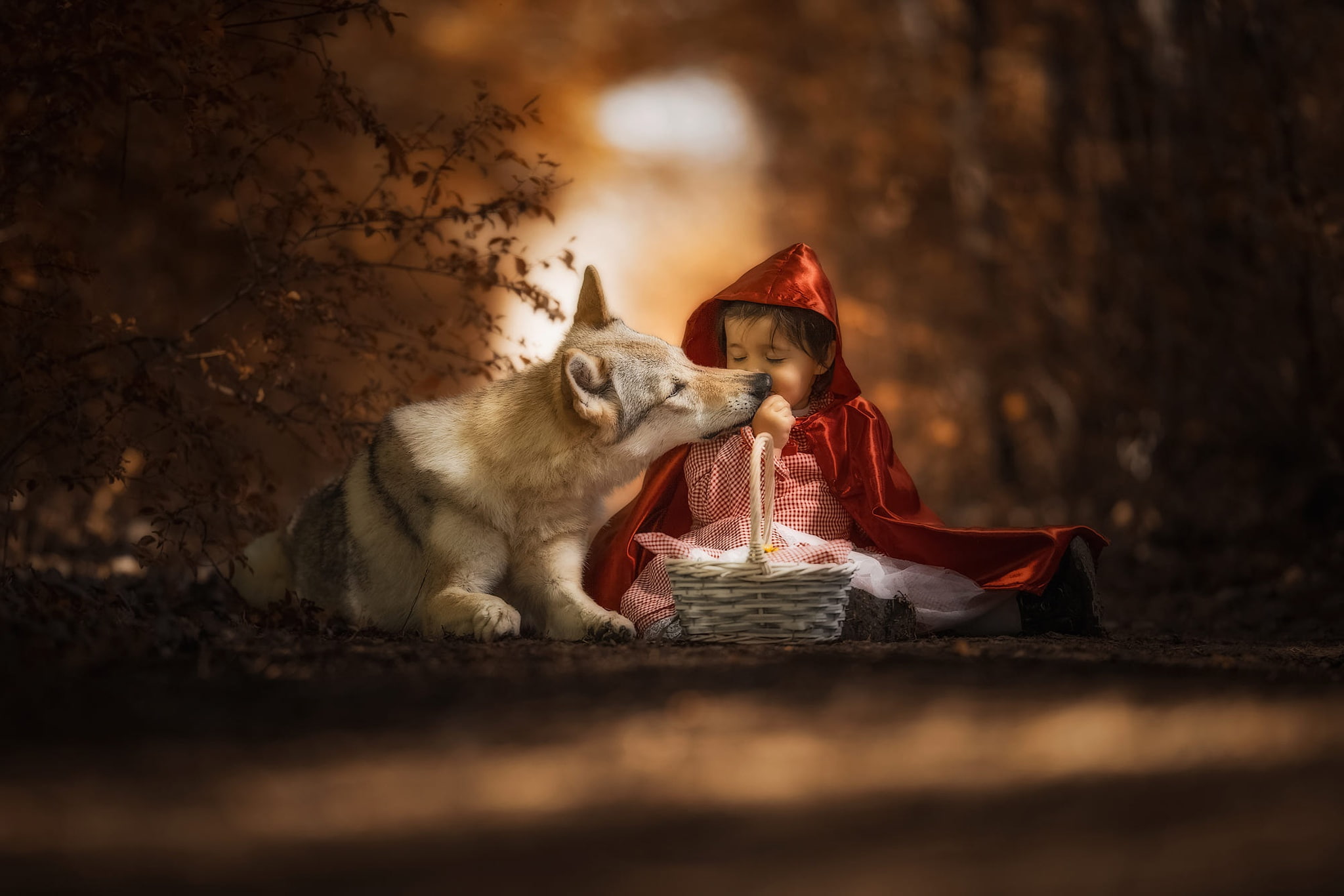 girl, closed eyes, basket, dog, pose, sitting, child, Little Red Riding Hood, the dark background, friendship, hood, 1080P, mood, oblizyvat, lies, light, HD Wallpaper