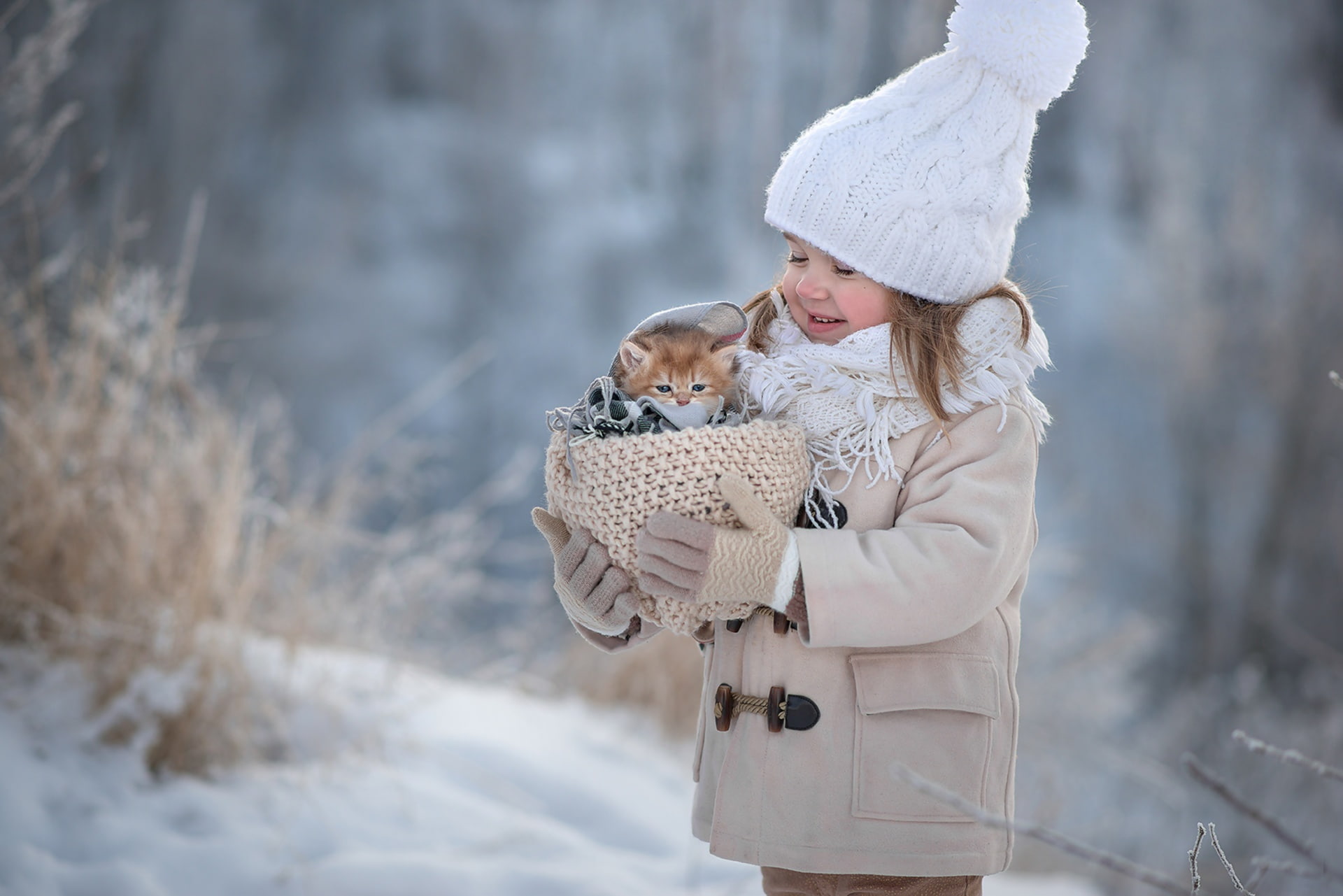 Cat, Winter, Baby Animal, Basket, Girl, Little Girl, 1080P, Child, Depth Of Field, Kitten, Photography, Hat, HD Wallpaper