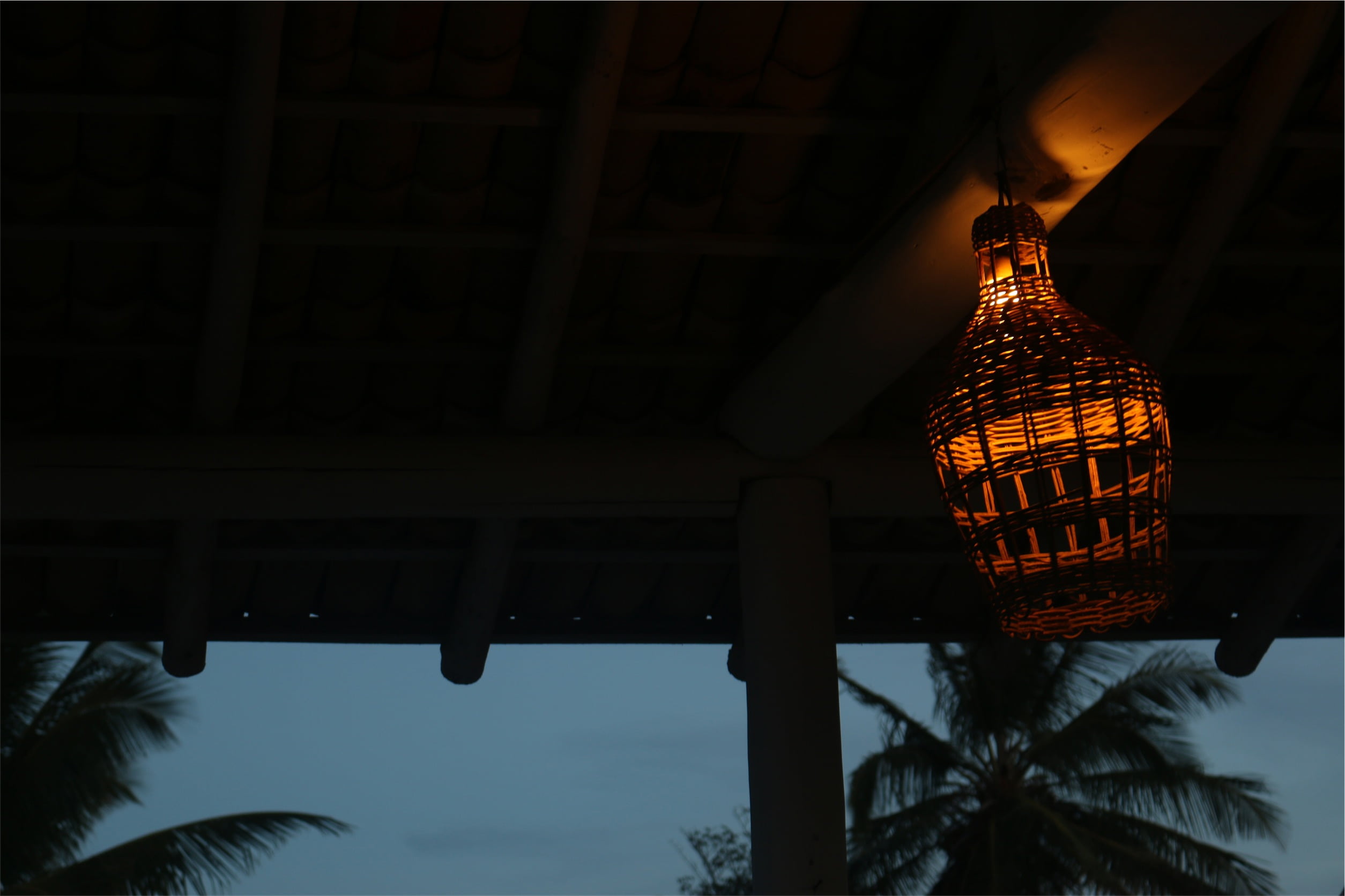 lamp, celebration, nature, palm trees, illuminated, no people, tree, ceiling, outdoors, decoration, low angle view, building exterior, built structure, HD Wallpaper