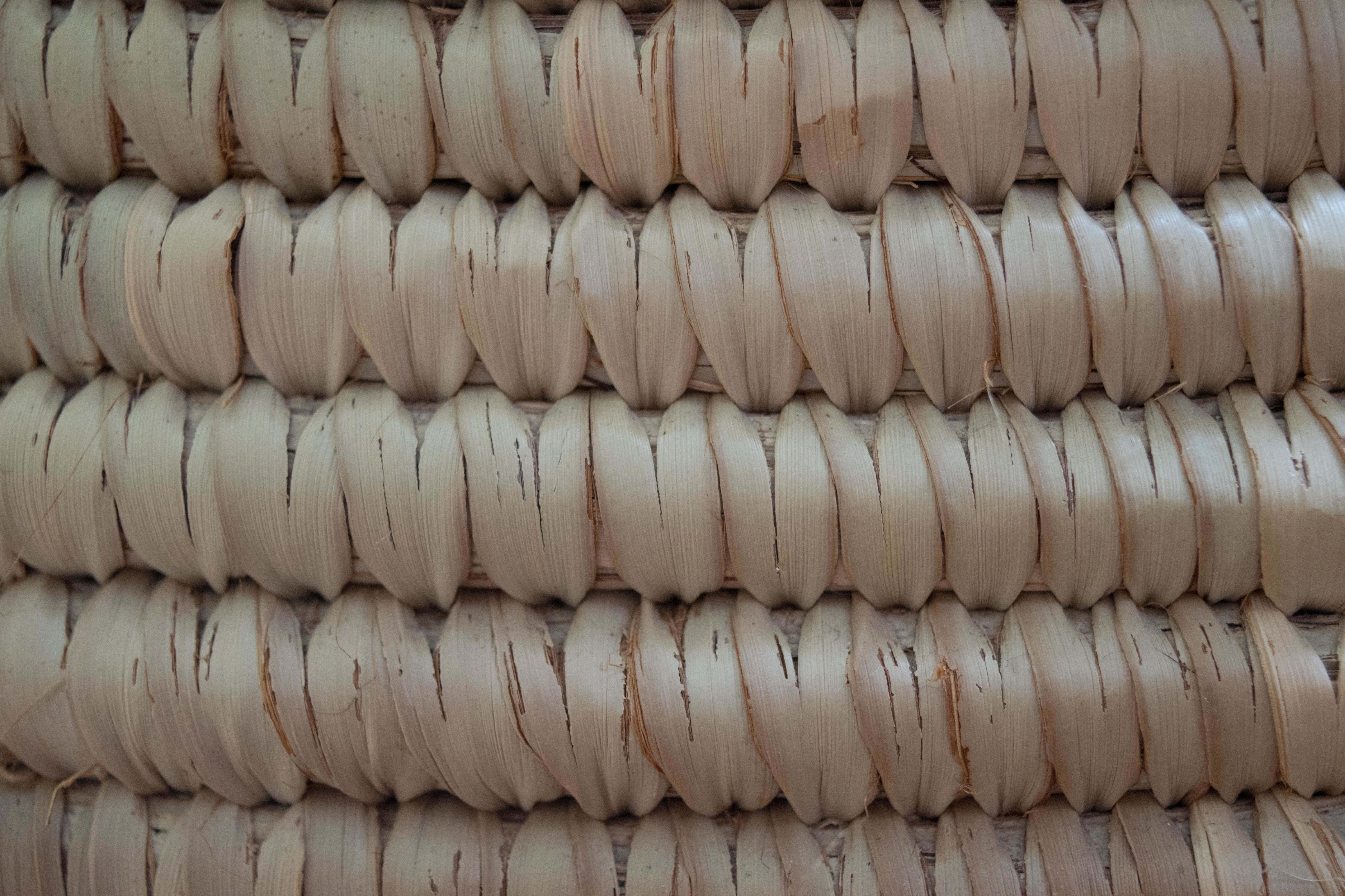 order, food and drink, freshness, retail, no people, full frame, pattern, abundance, texture, arrangement, repetition, close-up, wellbeing, large group of objects, HD Wallpaper