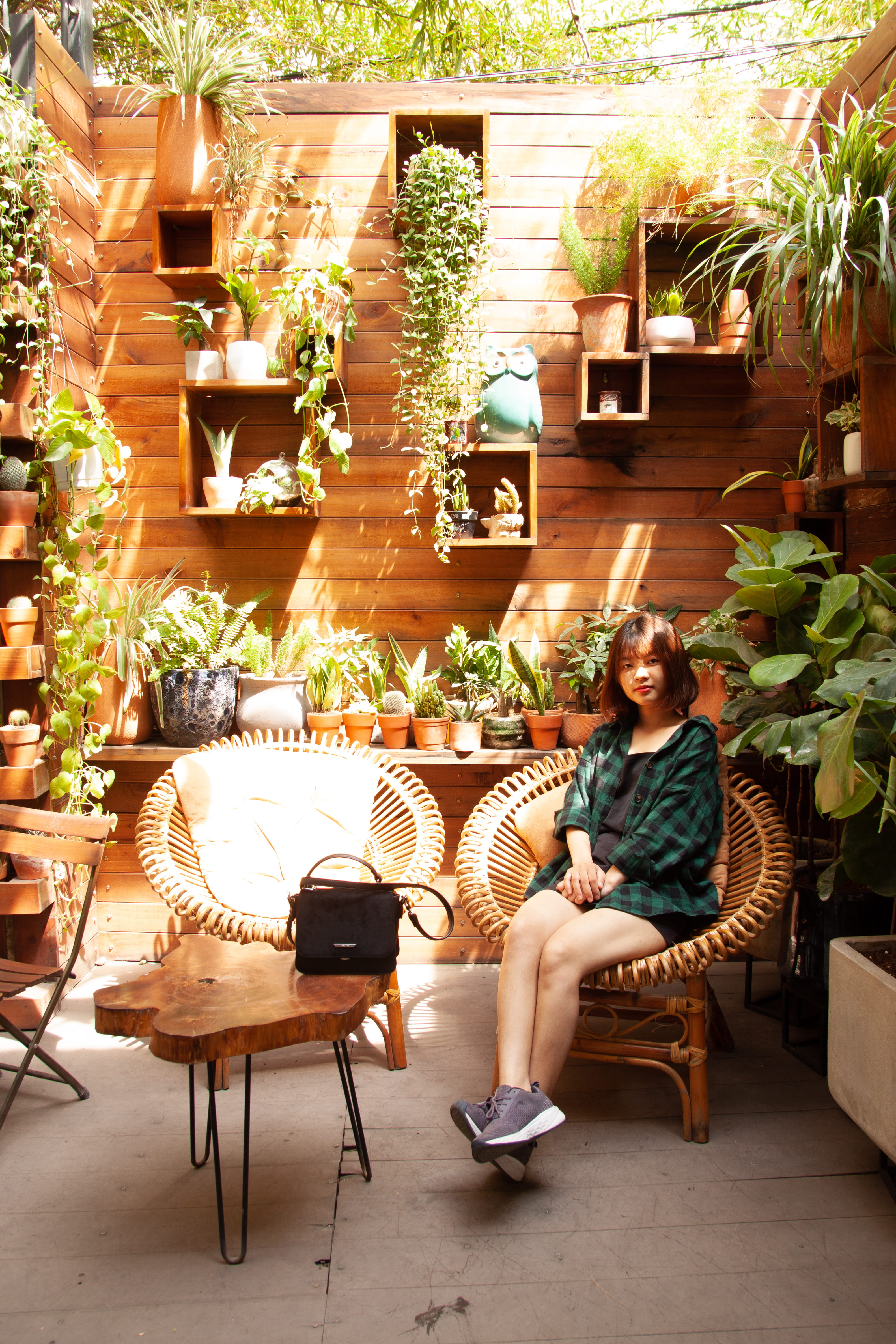 portrait, indoor plants, bag, 4K, beautiful girl, interior, cute girl, plant, decoration, adult, flora, woman, chairs, pose, one person, beautiful, full length, Phone HD Wallpaper