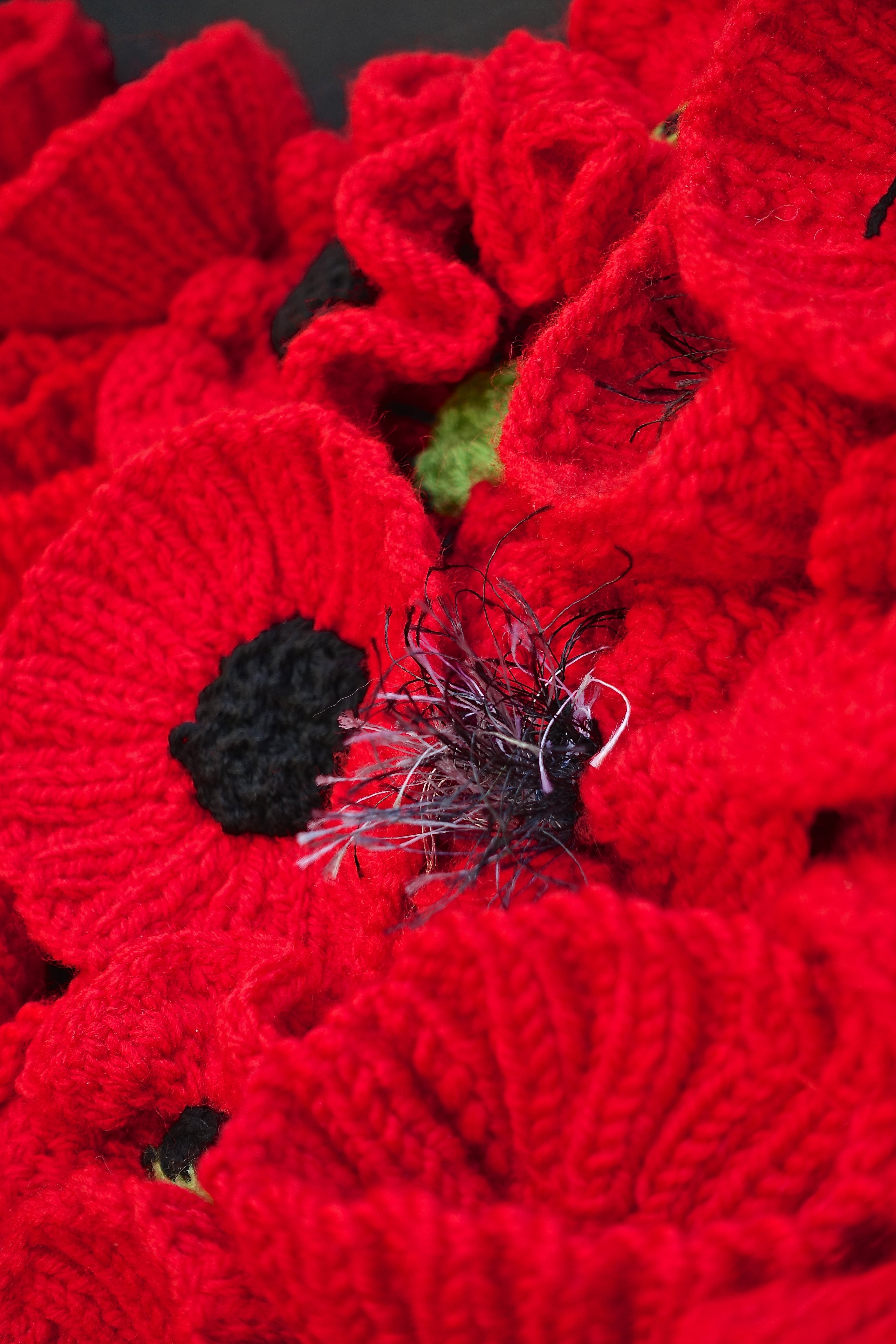 flowers, petal, still life, textile, indoors, wool, art and craft, flower head, knitted, creativity, full frame, close-up, warm clothing, flowering plant, Phone HD Wallpaper