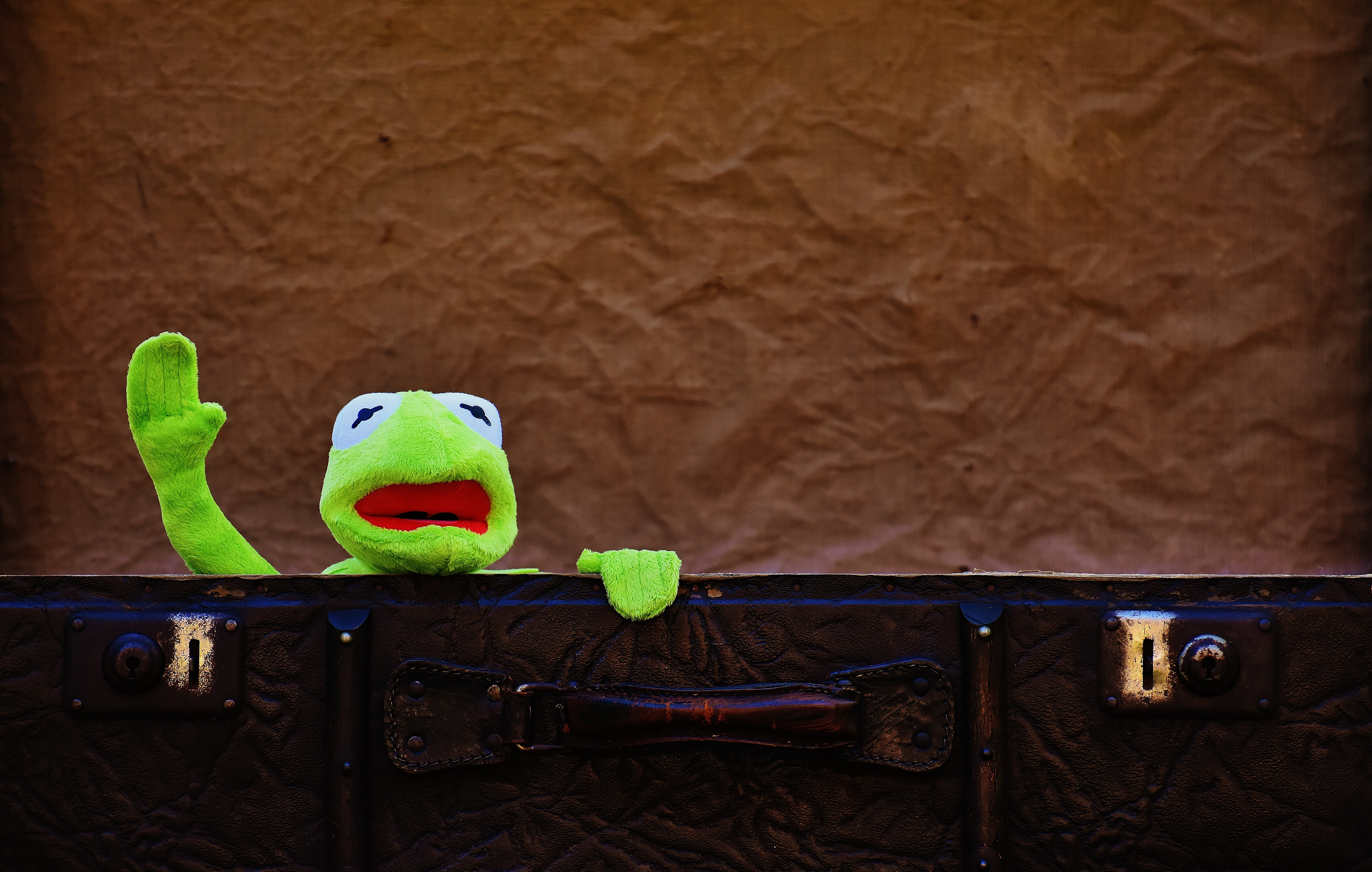 leather, wave, frog, animal, sweet, metal, green color, parrot, soft toy, wall - building feature, wood - material, railing, antique, perching, bird, generations, HD Wallpaper