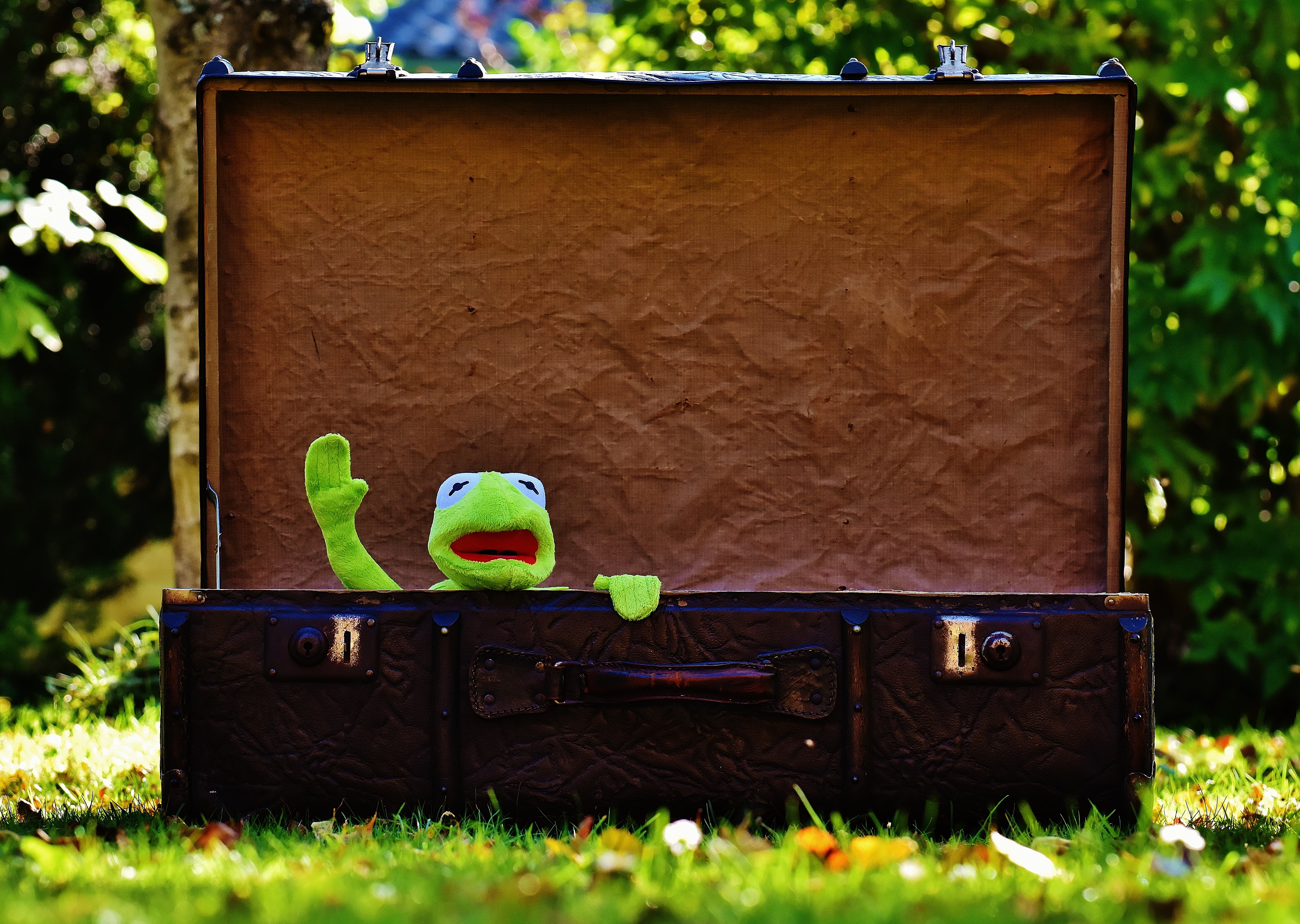 junk, inside, sweet, generations, animal, children, farewell, nature, funny, absence, musical instrument, kermit, architecture, wave, box, suitcase, group of objects, HD Wallpaper