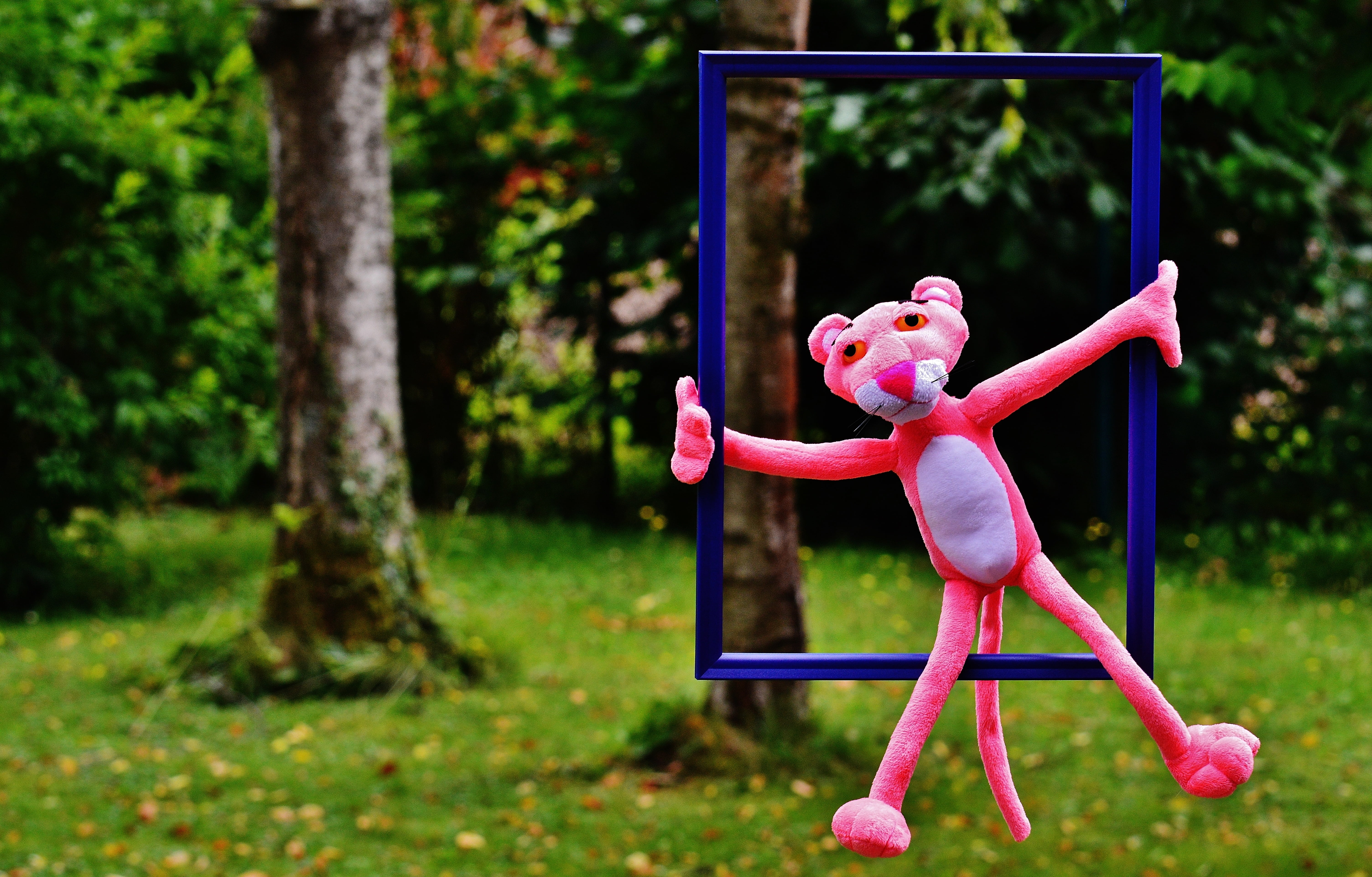 children, animal, tree, exercising, out of the ordinary, toys, outdoors, pink color, stuffed animal, anders, paulchen panthers, hanging, fun, plush, cute, HD Wallpaper
