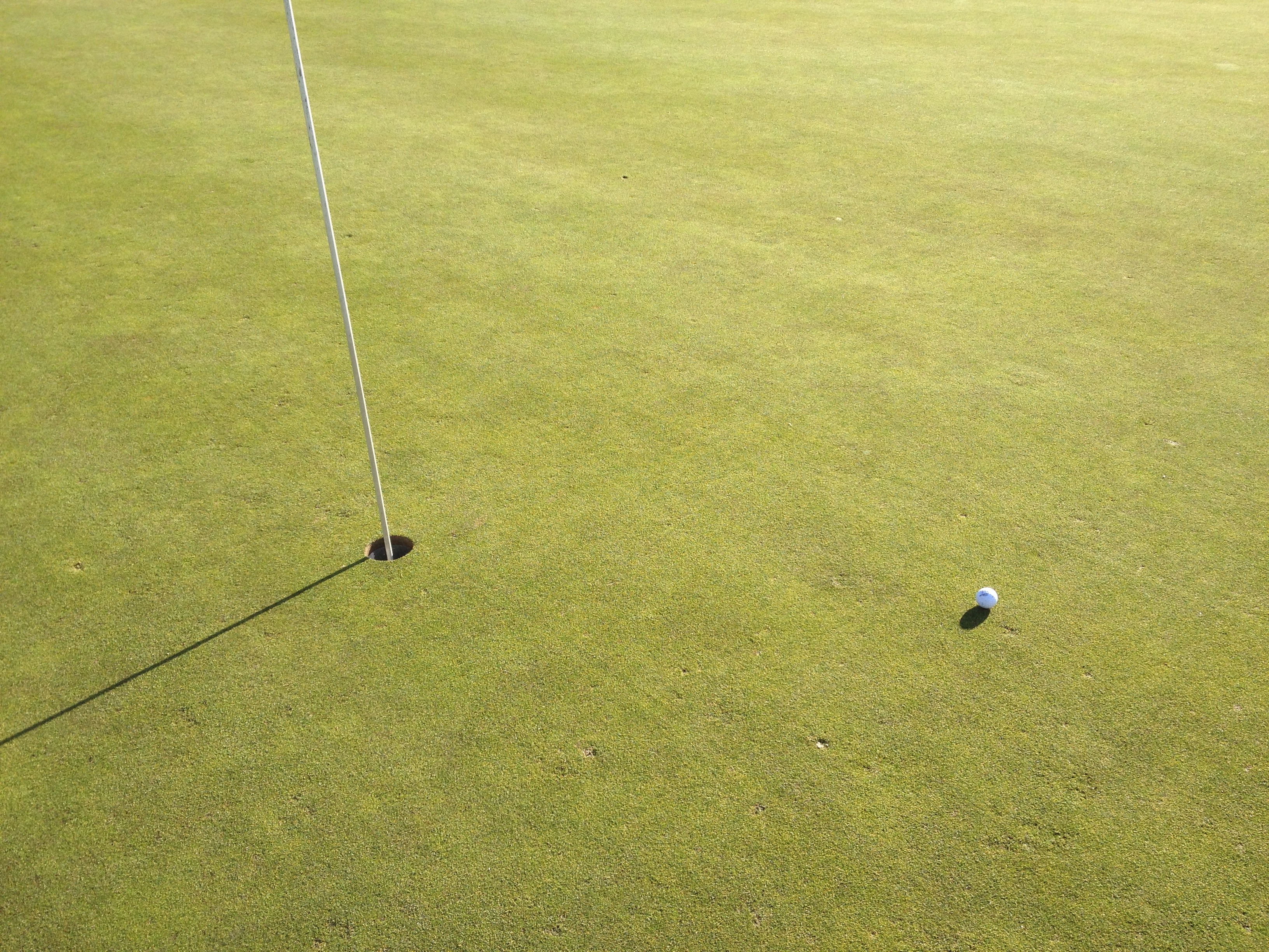 grass, golf flag, absence, day, no people, green color, pit, high angle view, flag, nature, sport, green - golf course, golf ball, golf, golf course, near, HD Wallpaper