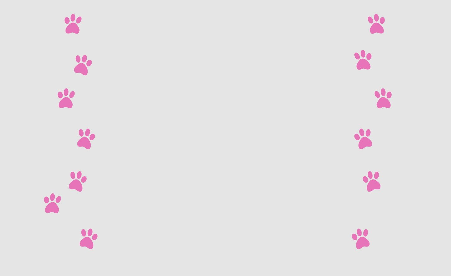 confetti, Pink, purple, decoration, white color, event, backgrounds, no people, pink color, copy space, flower, multi colored, floral pattern, pattern, HD Wallpaper