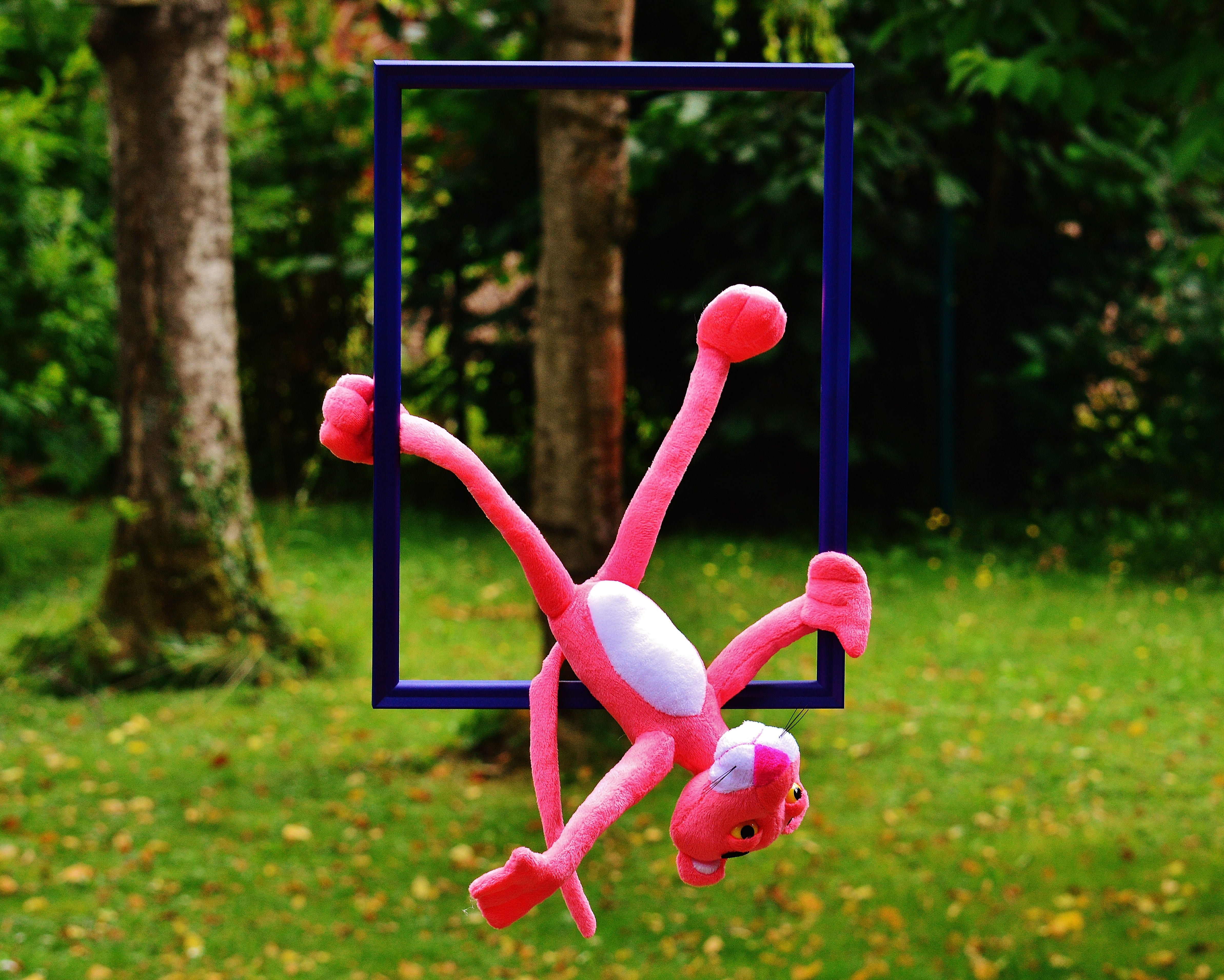 stuffed toy, outdoor play equipment, childhood, close-up, stuffed animal, picture frame, 4K, animal, sweet, playground, untypical, park, cute, plush, tree, HD Wallpaper