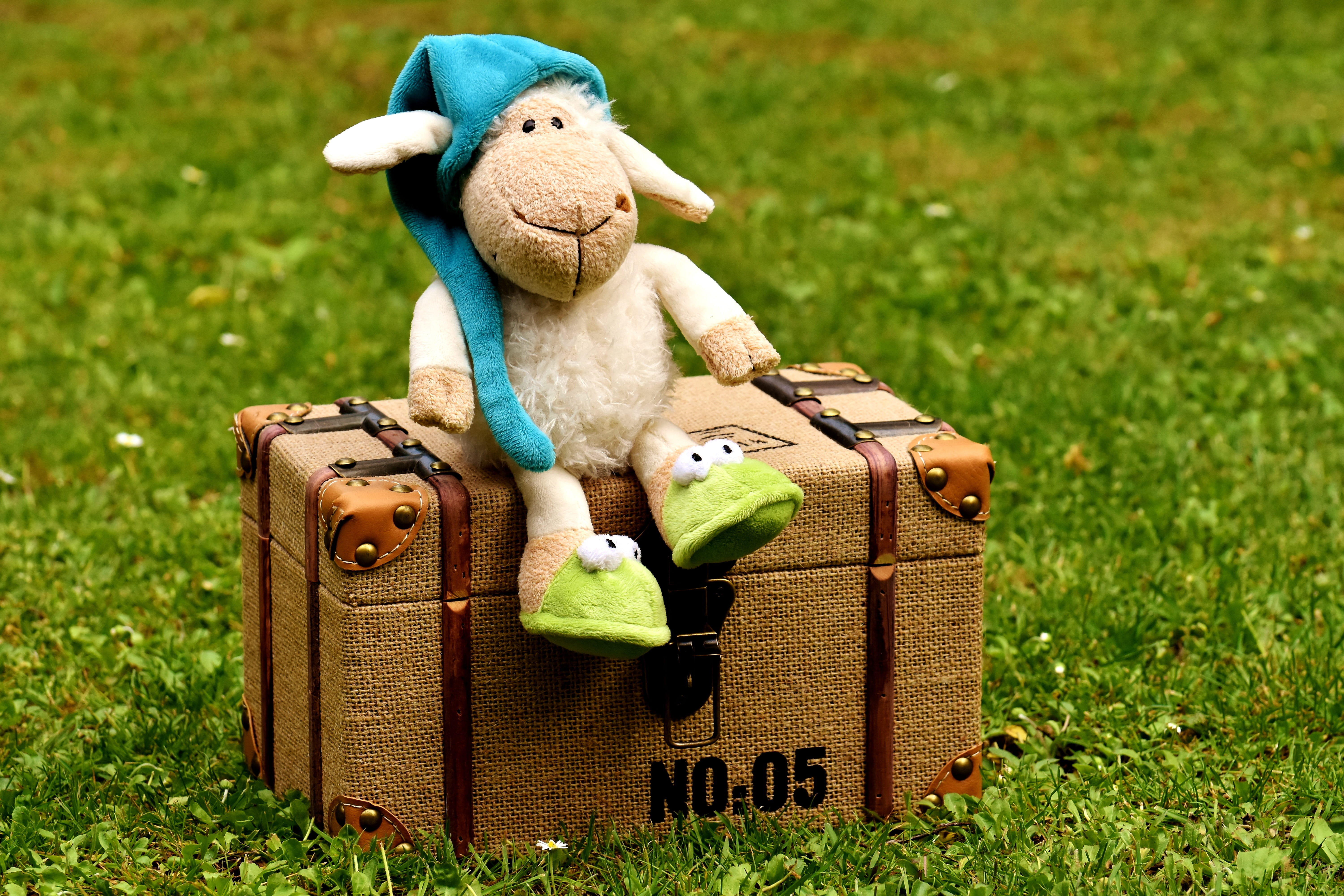 land, teddy bear, sit, cute, toys, 5K, plush toy, creativity, stuffed toy, box, stuffed animal, art and craft, chest, schäfchen, nature, human representation, HD Wallpaper