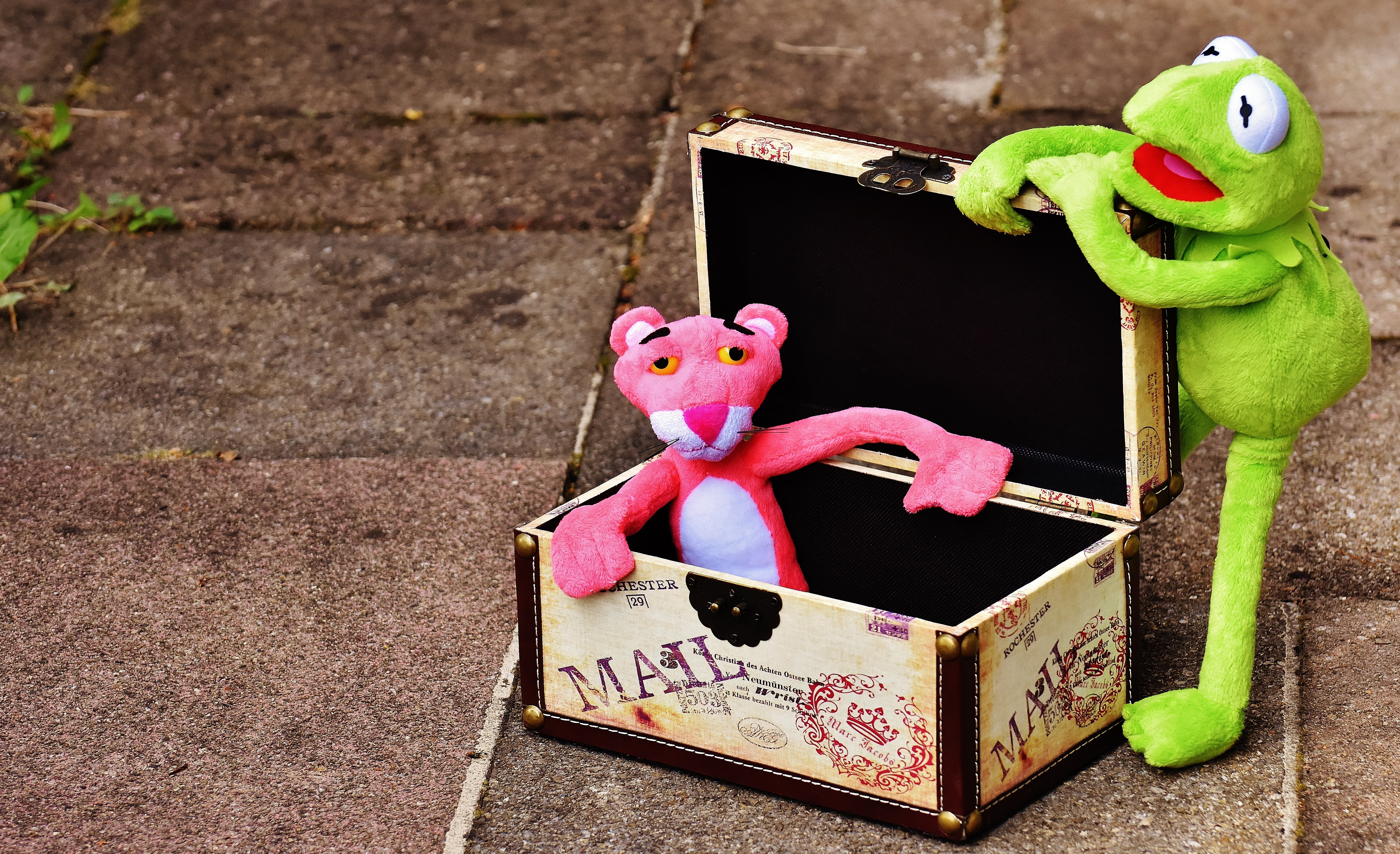 plush, pink color, container, toy, heart shape, fun, plush toys, the pink panther, still life, travel, suitcase fun, funny, go away, figure, holiday, play, HD Wallpaper