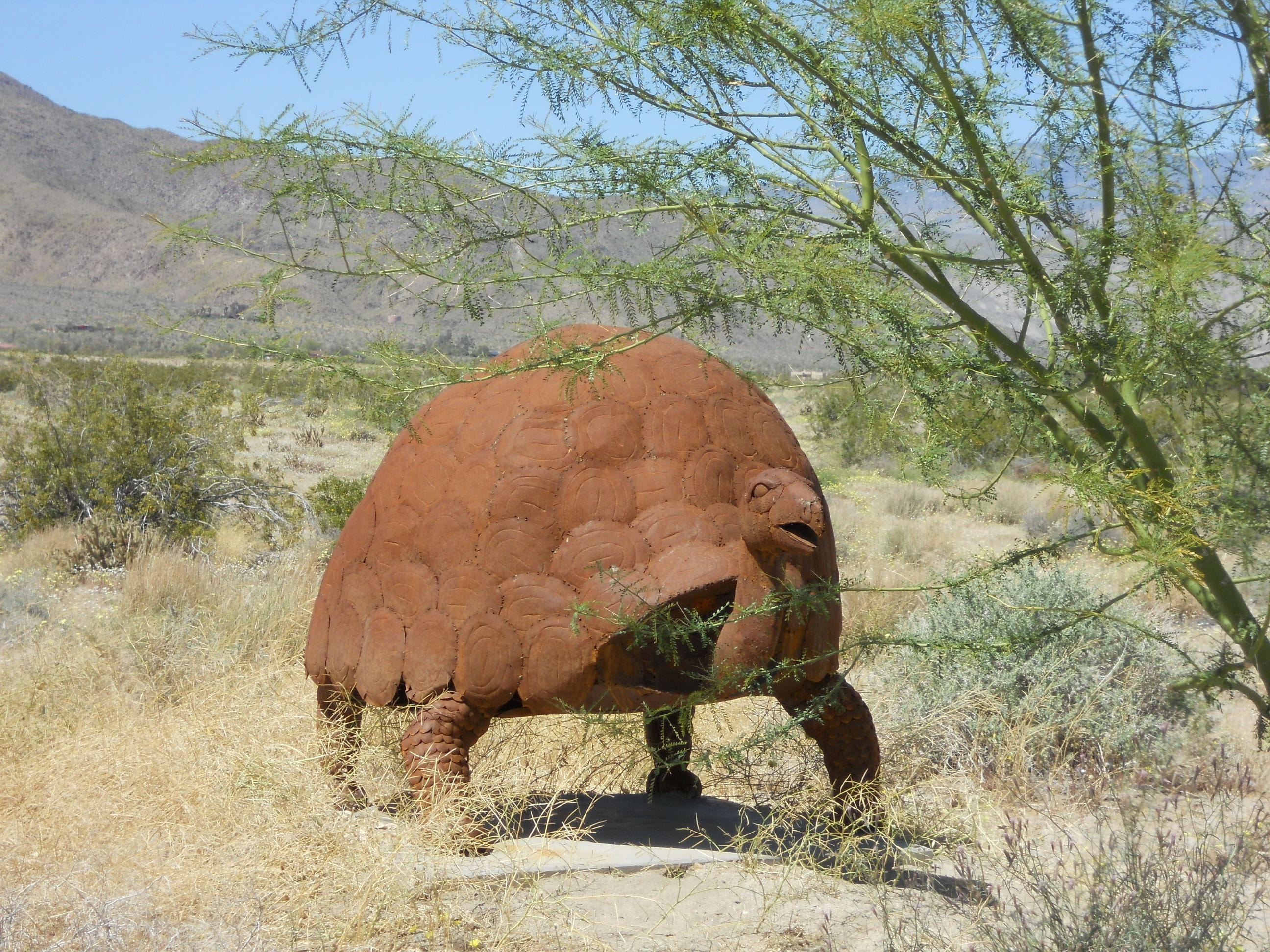 landscape, artist, artwork, Borrego Springs, growth, nature, sky, non-urban scene, day, outdoors, work of art, bronze, art, tortoise, one animal, solid, HD Wallpaper
