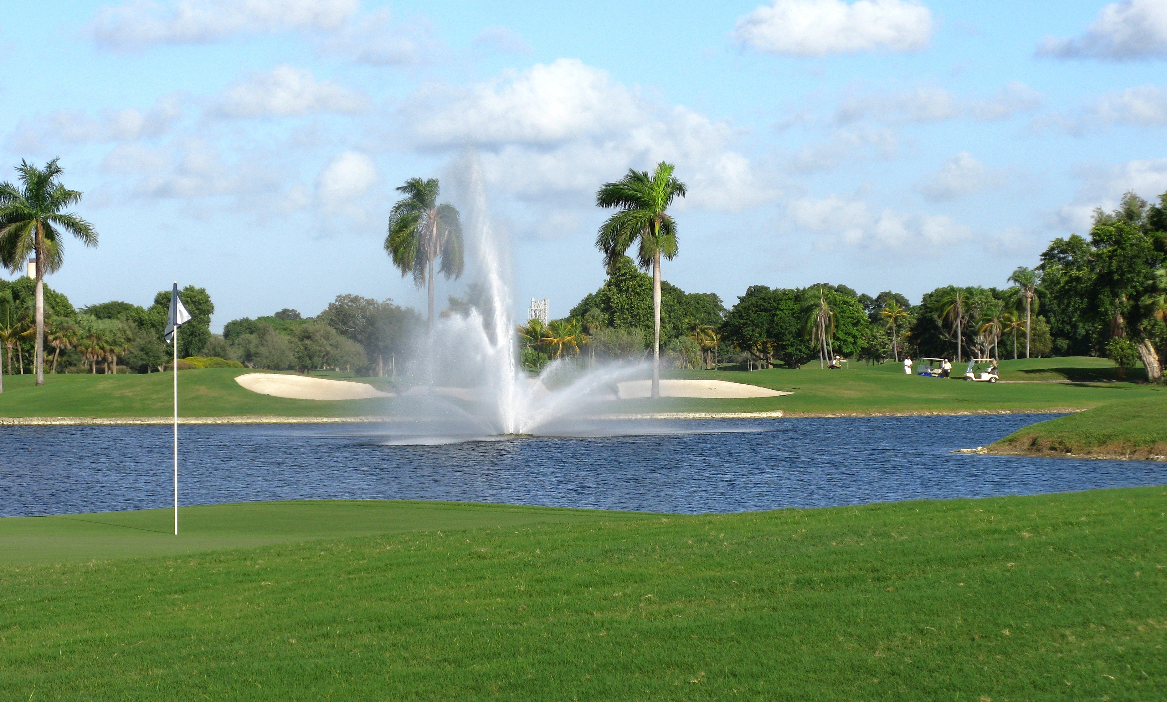 green color, landscape, sky, growth, palms, cloud - sky, motion, duffer, beautiful, palm trees, tranquil scene, hole, day, sports, tropics, miami, golf course, HD Wallpaper