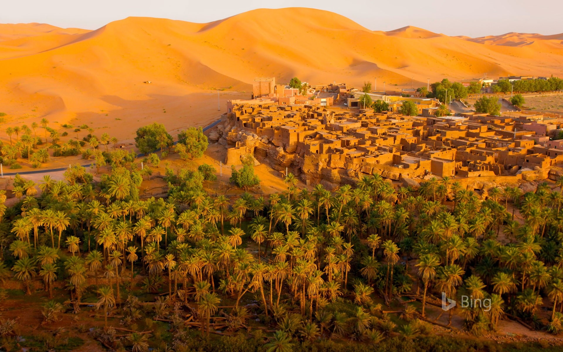 plant, built structure, nature, town, beauty in nature, climate, tree, landscape, land, mountain, scenics - nature, architecture, day, algeria, oasis, growth, HD Wallpaper