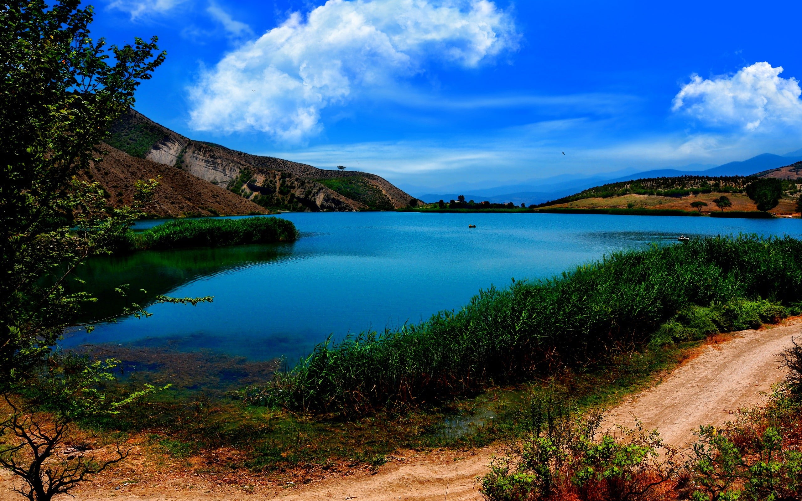 seas, oasis, 2K, trees, grass, landscapes, blue, skyscapes, green, lakes, HD Wallpaper