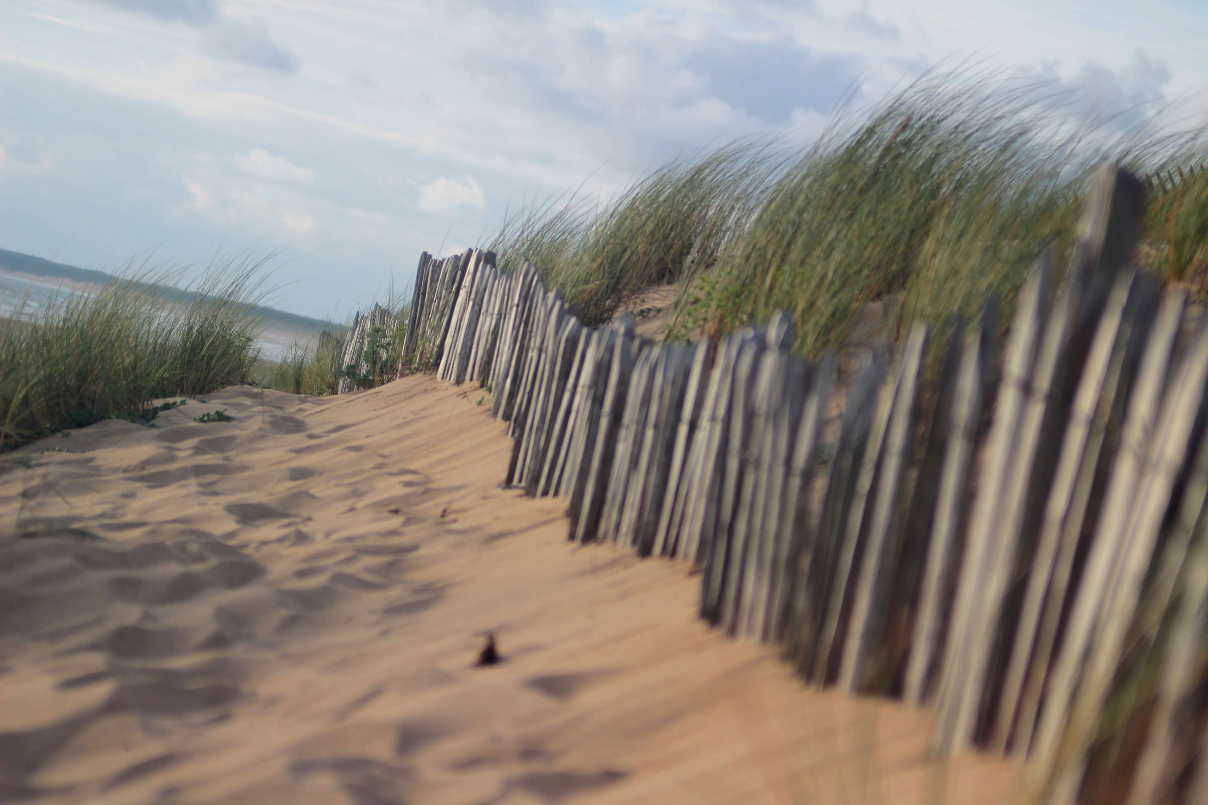 protection, sand dunes, barrier, security, day, grass, wooden post, cloud - sky, field, no people, land, boundary, post, plant, sand, 4K, fence, in a row, HD Wallpaper