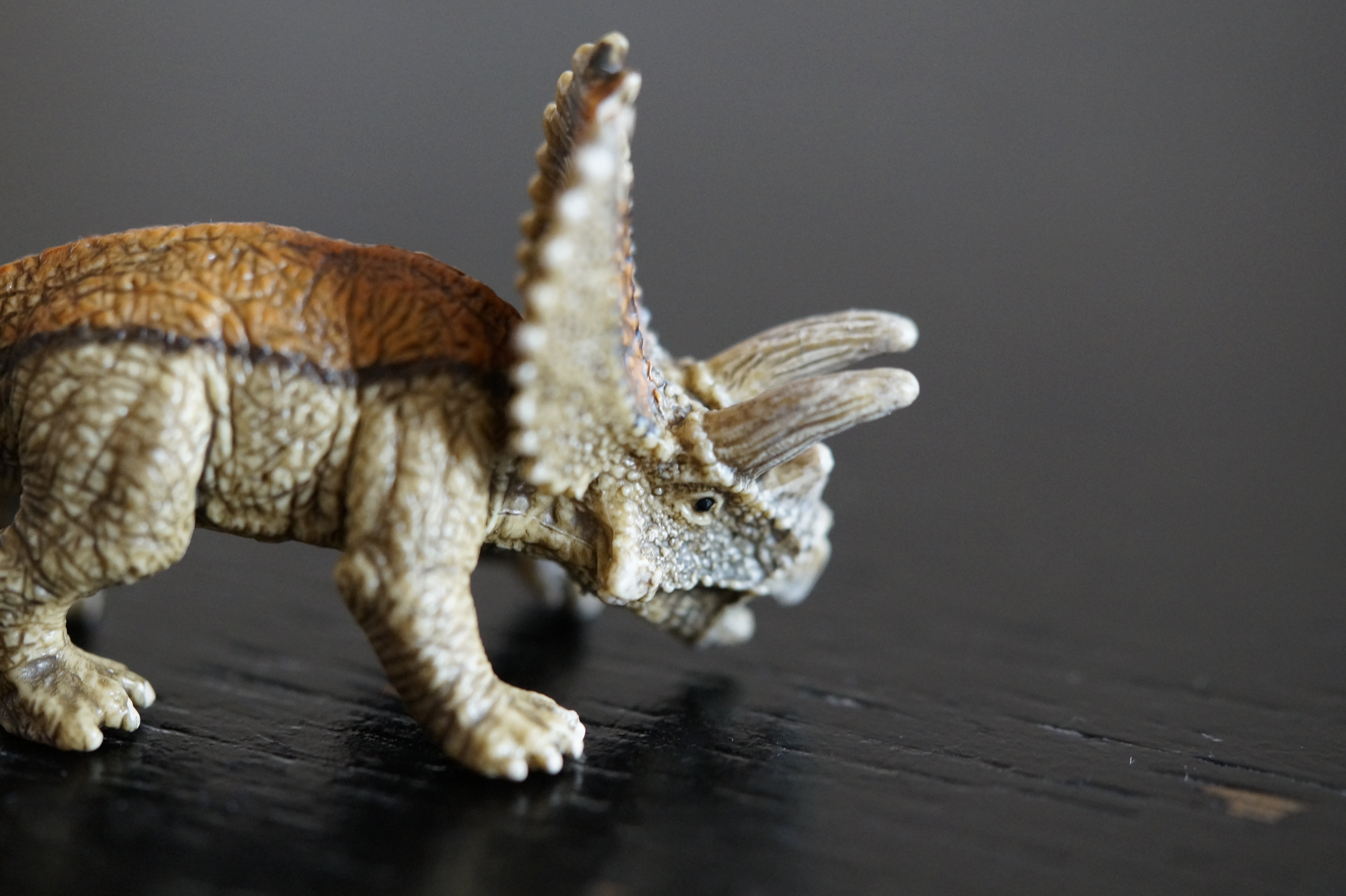 giant lizard, animal wildlife, colored background, slow action figure, wood - material, animal representation, play, children, triceraptos, dino, animal scale, HD Wallpaper