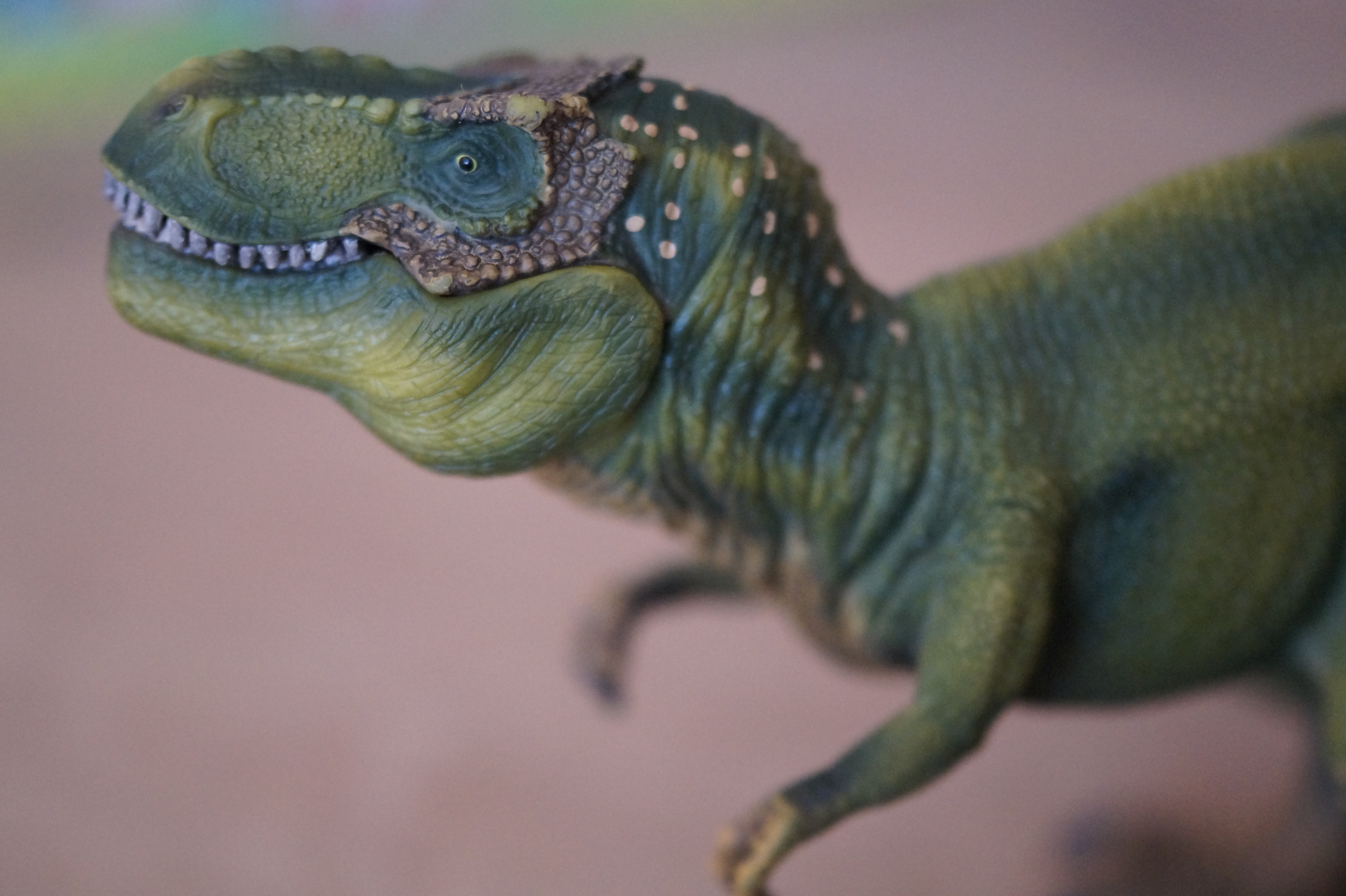 side view, animal themes, one animal, replica, animals in the wild, chameleon, lizard, animal wildlife, green color, toy, mouth open, portrait, reptile, HD Wallpaper