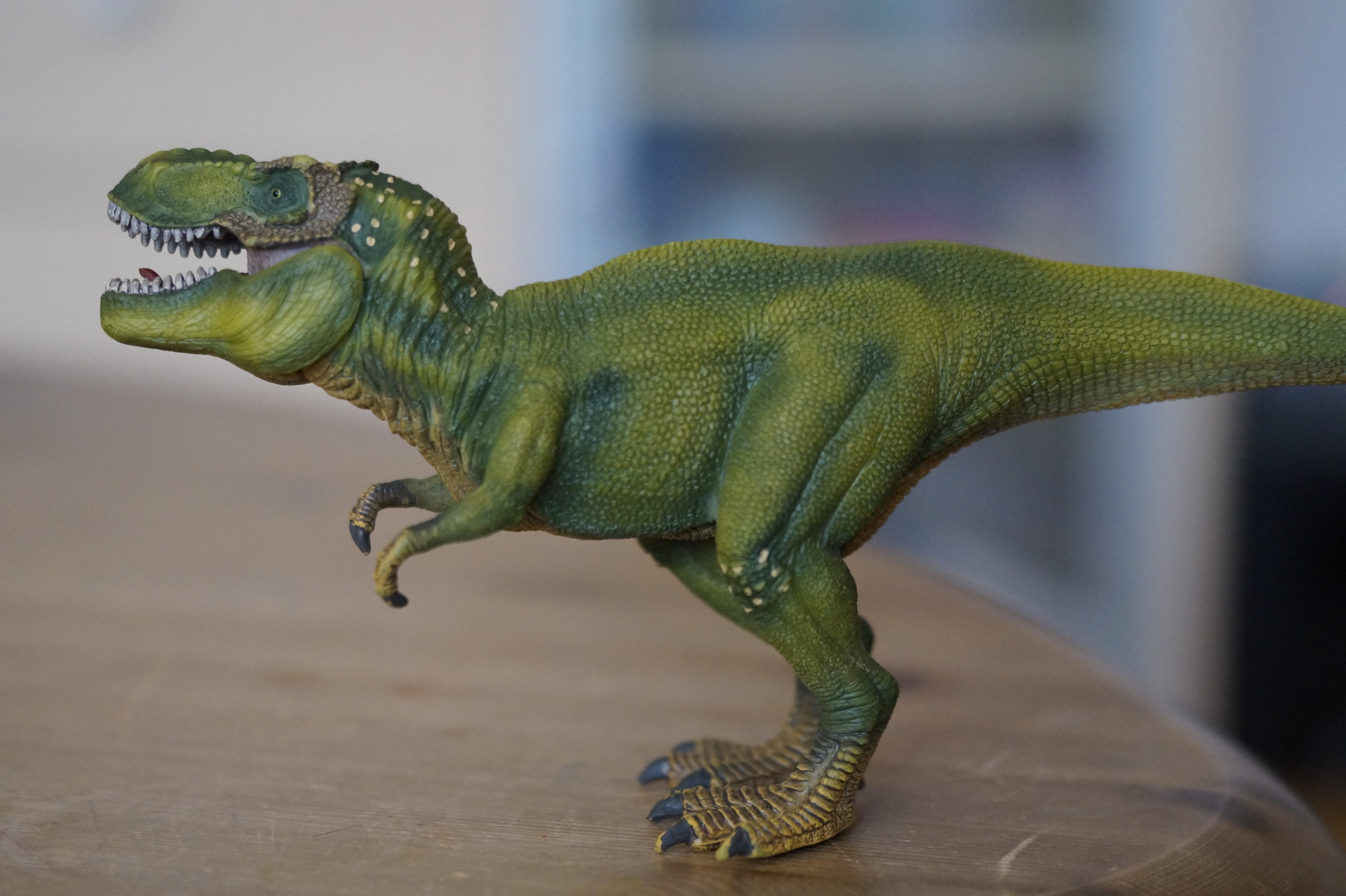 toy, mouth open, close-up, animal themes, reptile, Tyrannosaurus Rex, animal wildlife, predator, 5K, chameleon, animal representation, profile view, focus on foreground, HD Wallpaper