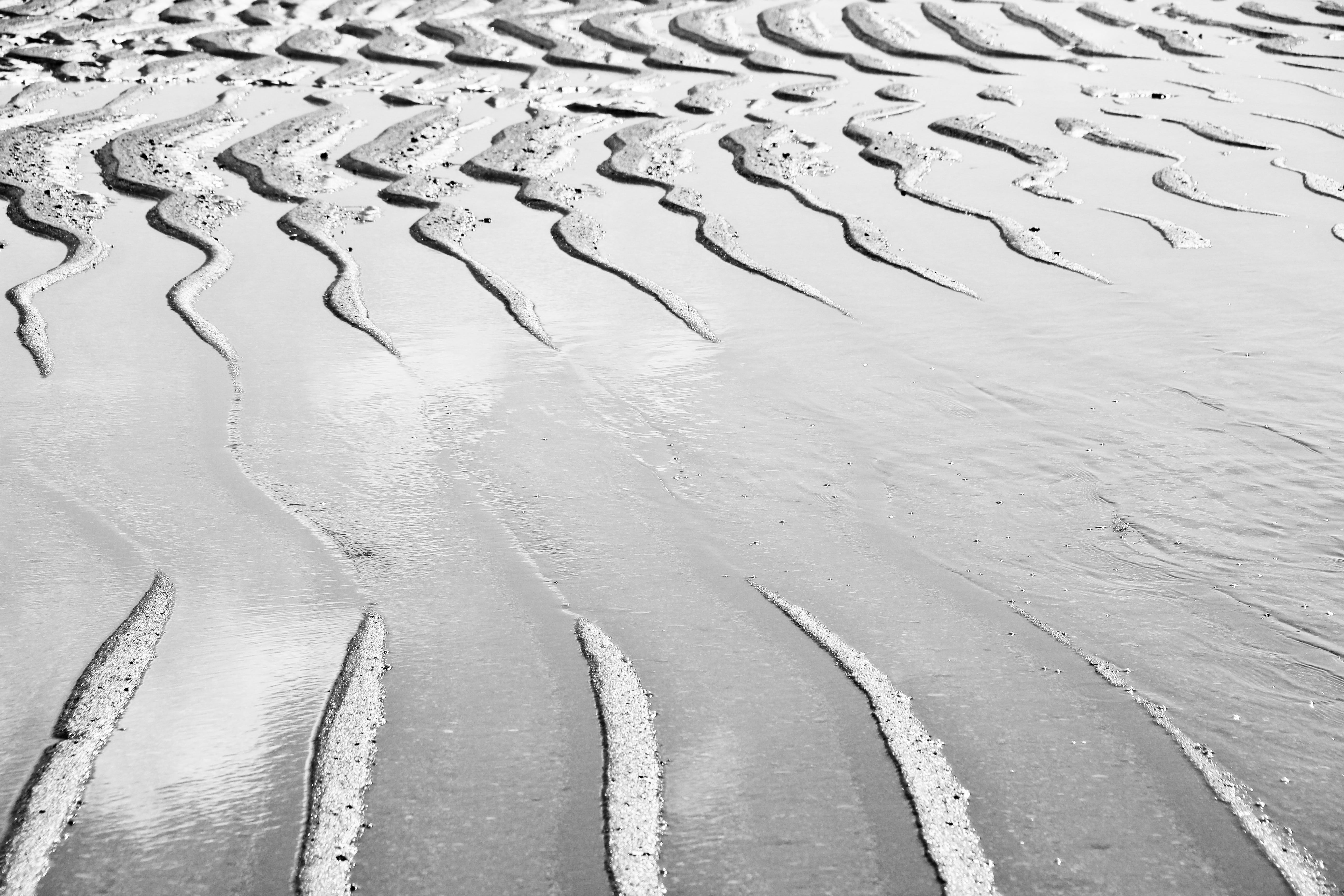 sea, me  my, shore, outdoors, gear, sea shore, Alagoas, grey, nature, premium, sand, 5K, HD Wallpaper