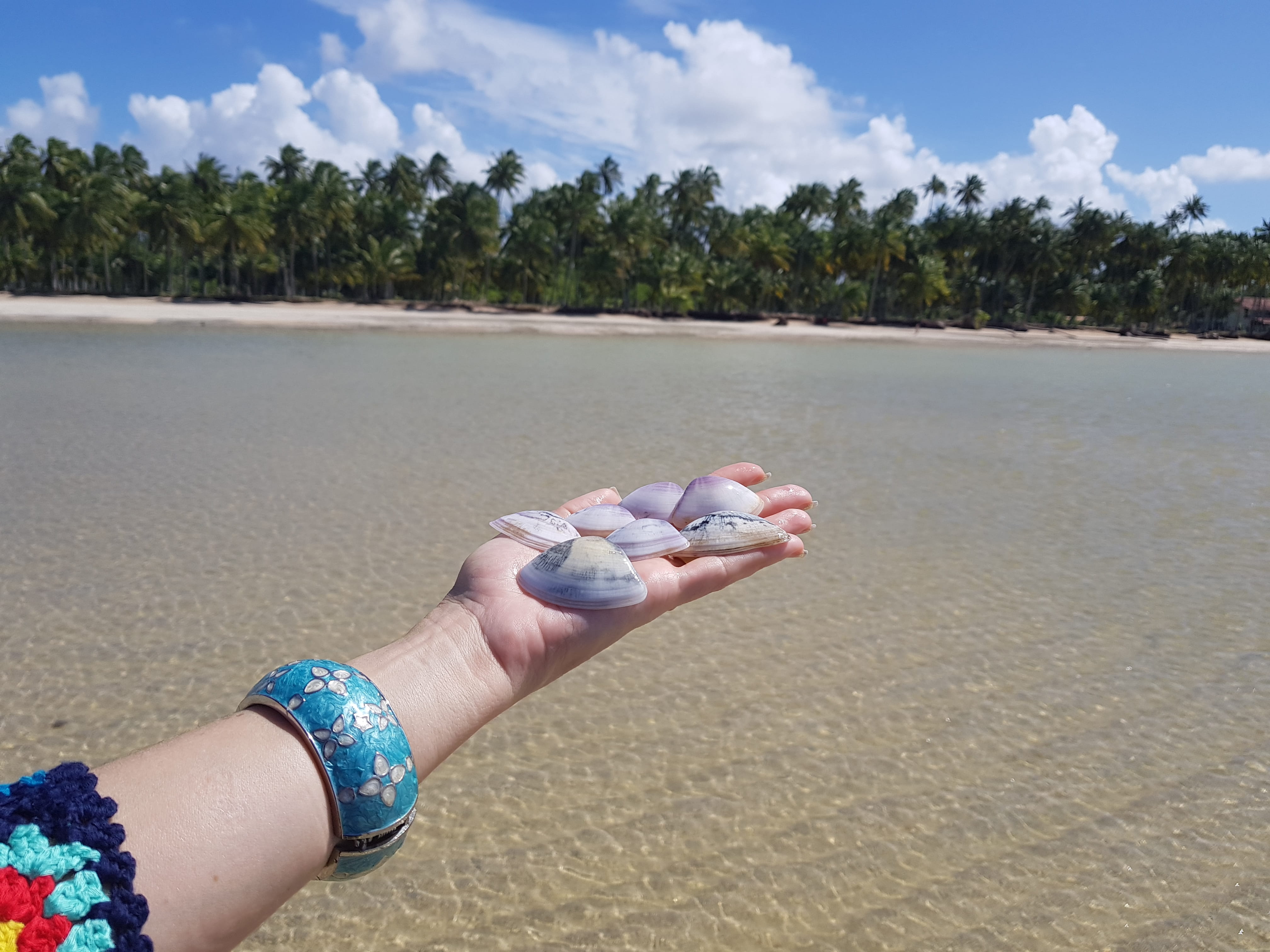 beach, landscape, holding, outdoors, lifestyles, cloud - sky, alagoas, brasil, leisure activity, women, finger, bracelet, real people, adult, 4K, HD Wallpaper