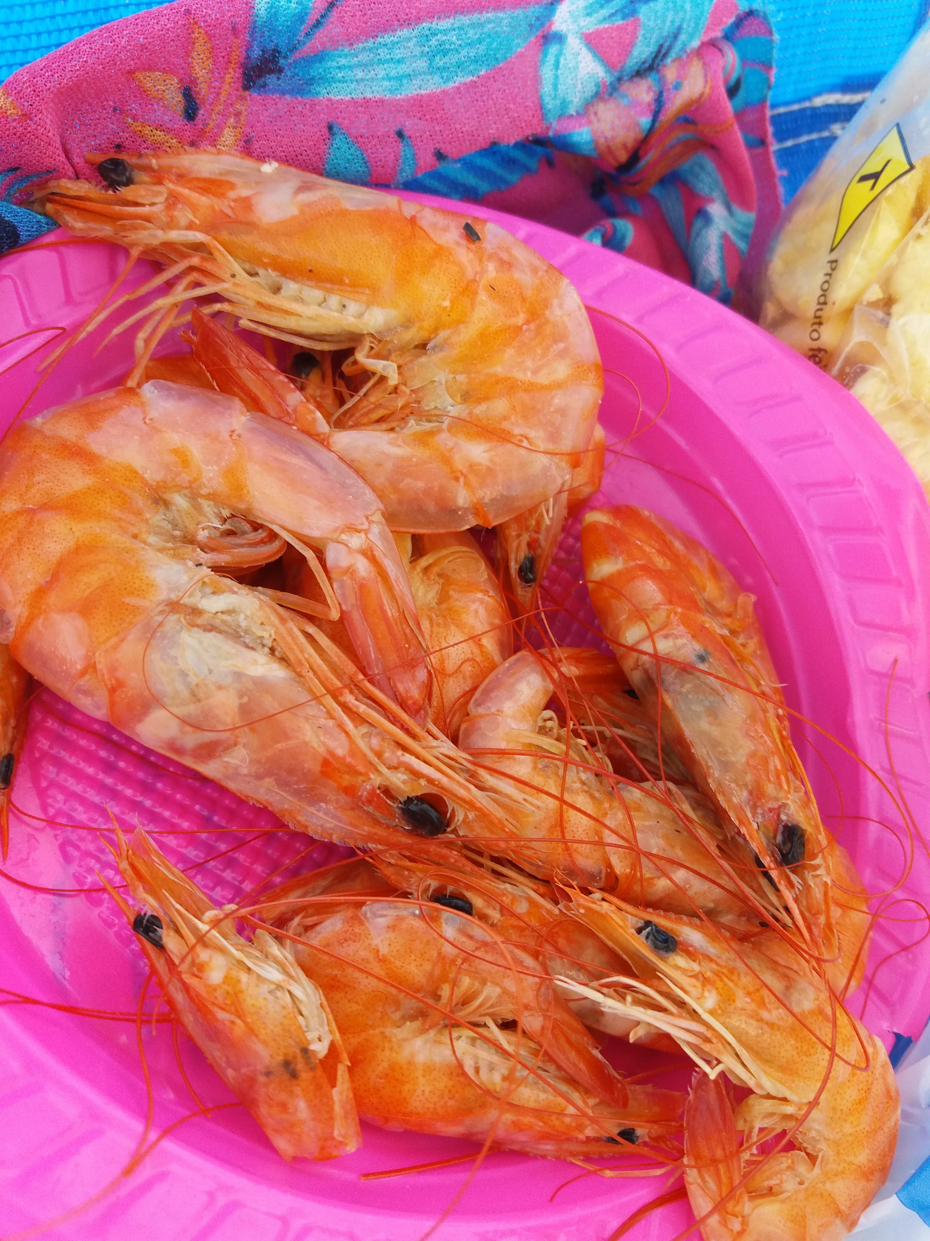 day, shrimp - seafood, dinner, close-up, fresh, fish, seafood, still life, prawn, wellbeing, nature, indoors, food, high angle view, crustacean, water, Phone HD Wallpaper