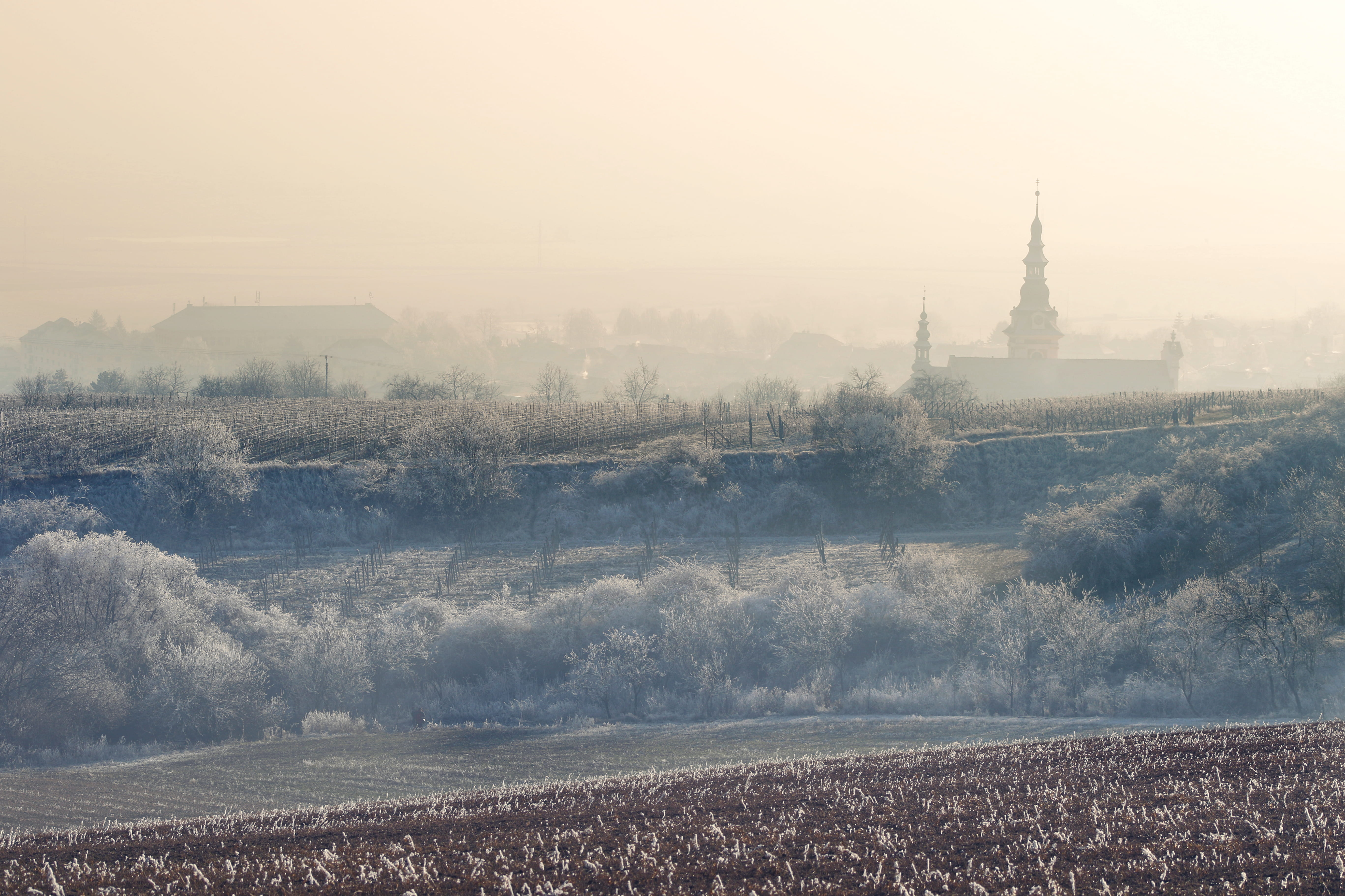 fog, landscape, sky, tree, cathedral, building exterior, famous Place, architecture, church, field, day, trees, Village, travel destinations, spirituality, HD Wallpaper