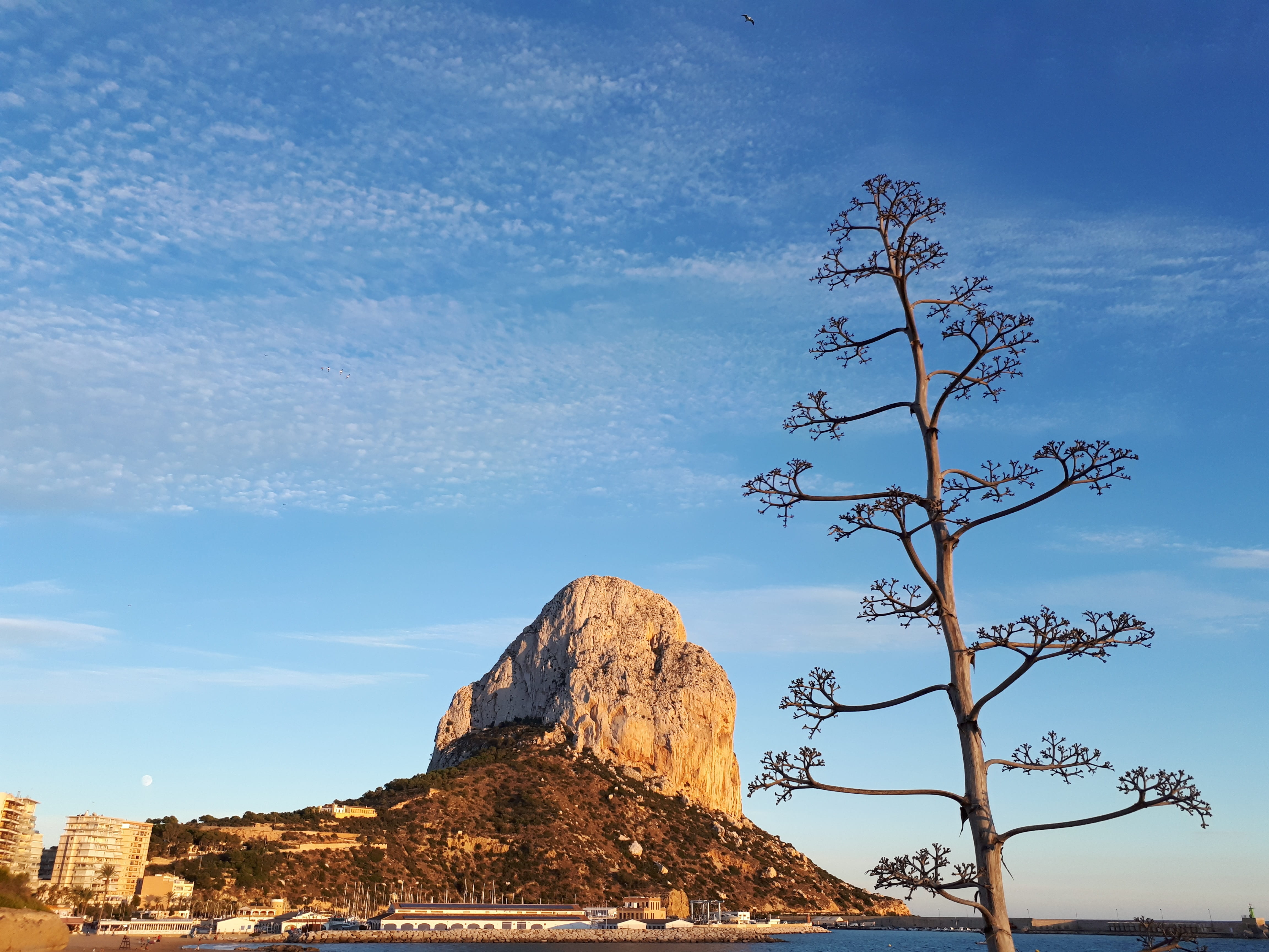 formation, rock, landscape, history, scenics - nature, dry wood, nature, park, vacation, rock formation, day, low angle view, calpe, spain, the past, journey, HD Wallpaper