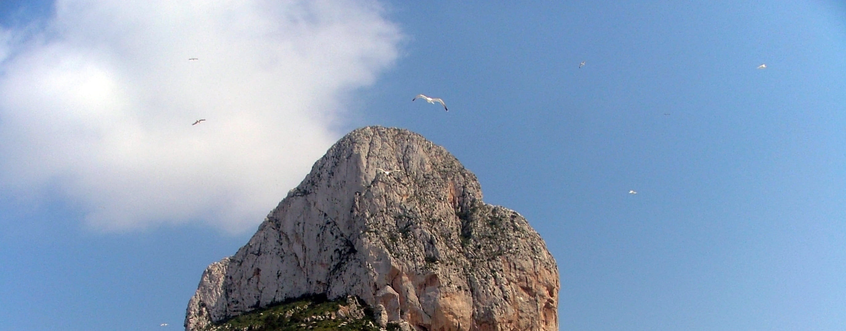 flying, group of animals, beach, bird, Alicante, solid, calpe rock, bird of prey, no people, blue, Mountain, animal wildlife, day, rock - object, flock of birds, HD Wallpaper