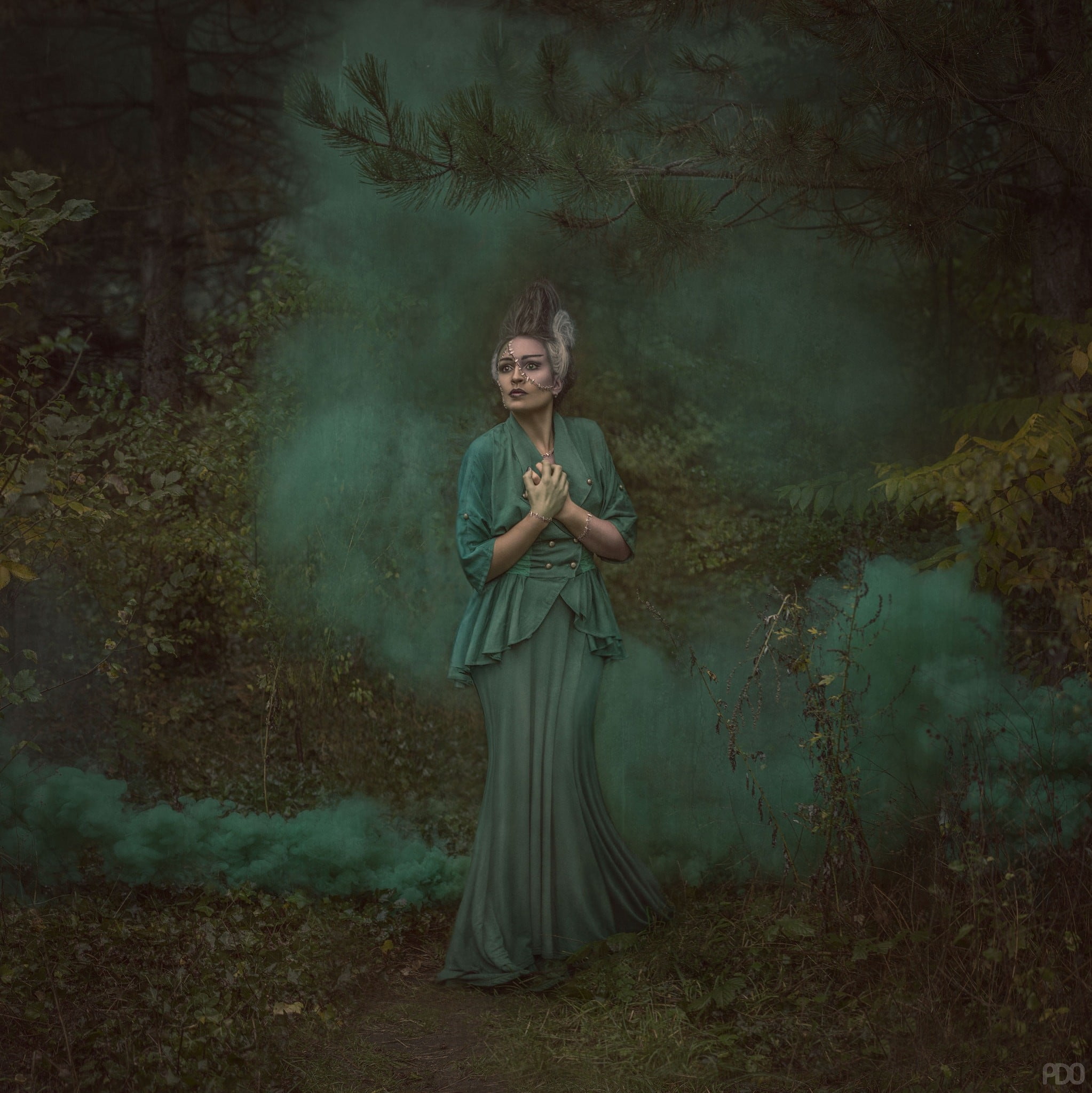 dark, fantasy girl, woodland, dress, fog, forest, portrait, plant, nature, tree, beauty, one person, adult, fashion, Priscilla DO, beautiful woman, outdoors, Phone HD Wallpaper