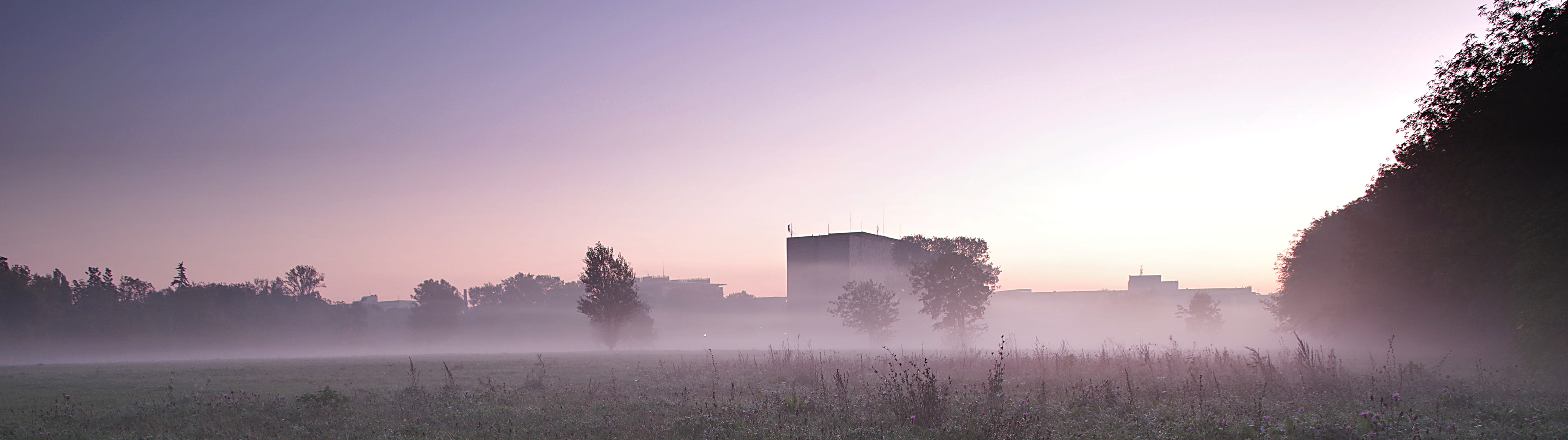 no people, sunrise - dawn, plant, panoramic, tree, environment, autumn, warsaw, landscape, tranquility, haze, dark, 5K, fog, sun, poland, close, outdoors, HD Wallpaper