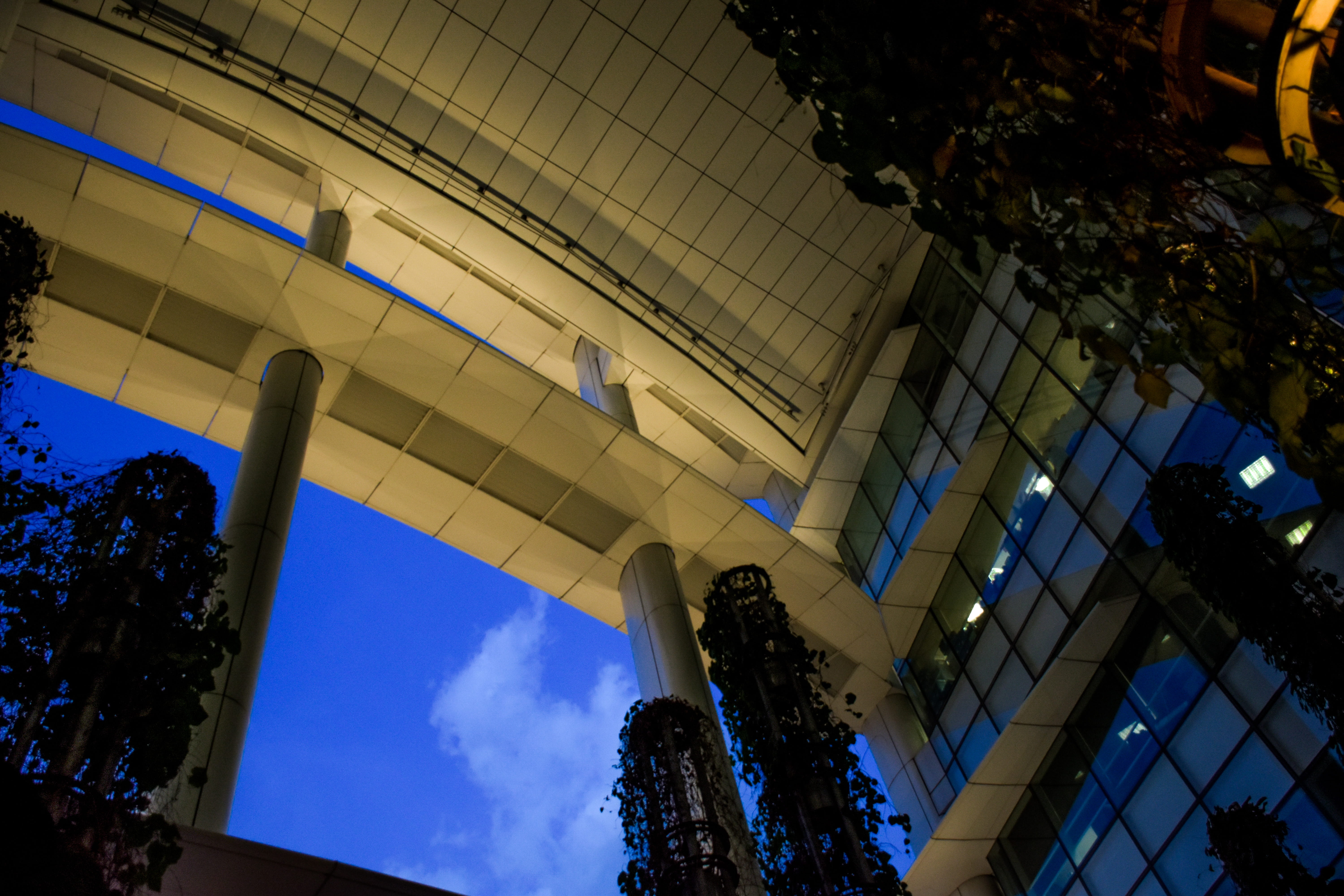 sky, ceiling, plant, modern, tree, no people, blue, travel destinations, business, nature, outdoors, 5K, day, city, singapore, skyscraper, cloud - sky, HD Wallpaper