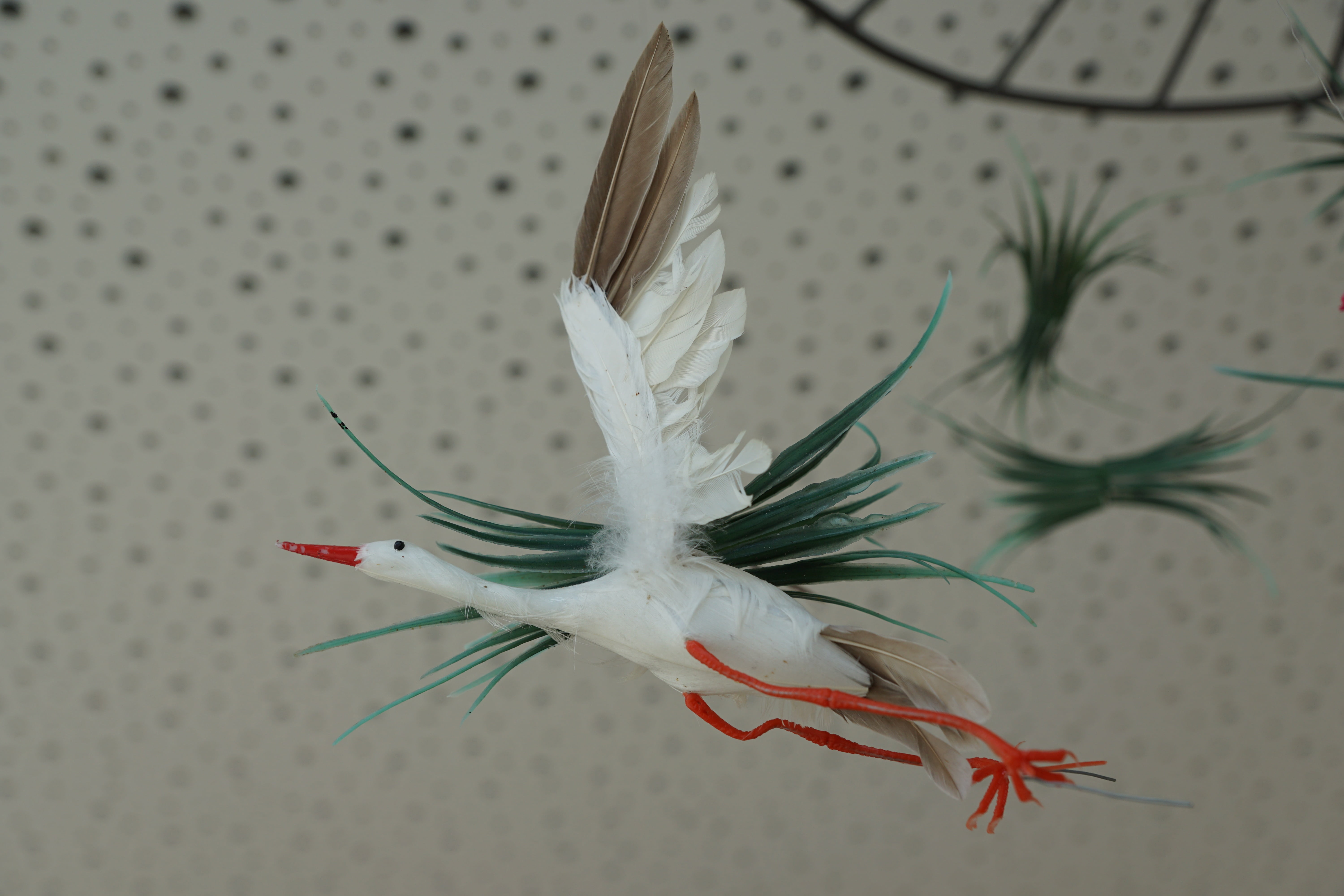 figure, tail, nest, vertebrate, feather, indoors, stork, animals in the wild, white color, custom, nature, focus on foreground, fly, close-up, holes, wing, HD Wallpaper