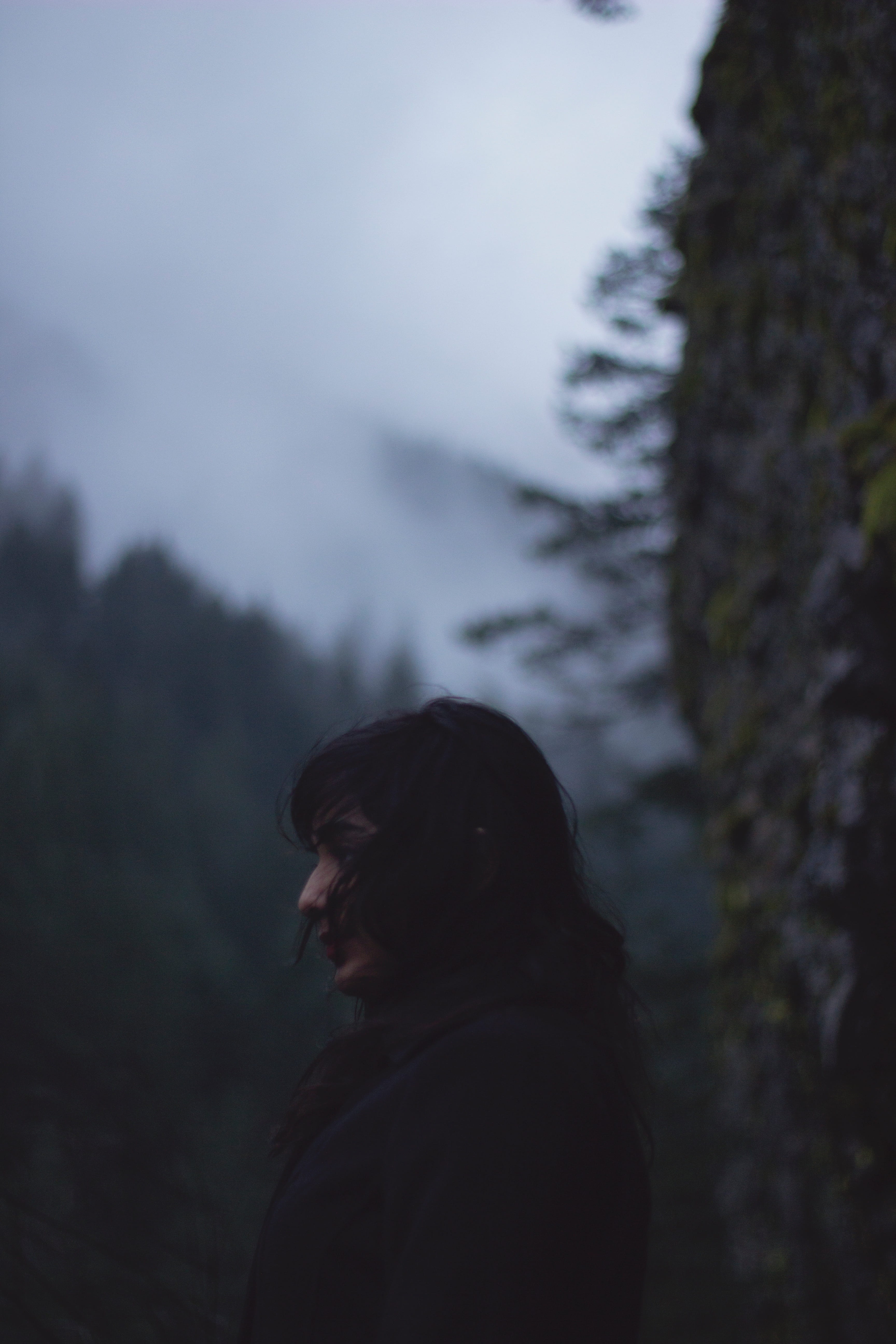 leisure activity, focus, woman in black, winter, contemplation, tree, photography, black, day, land, plant, one woman only, woman, side view, 5K, nature, Phone HD Wallpaper