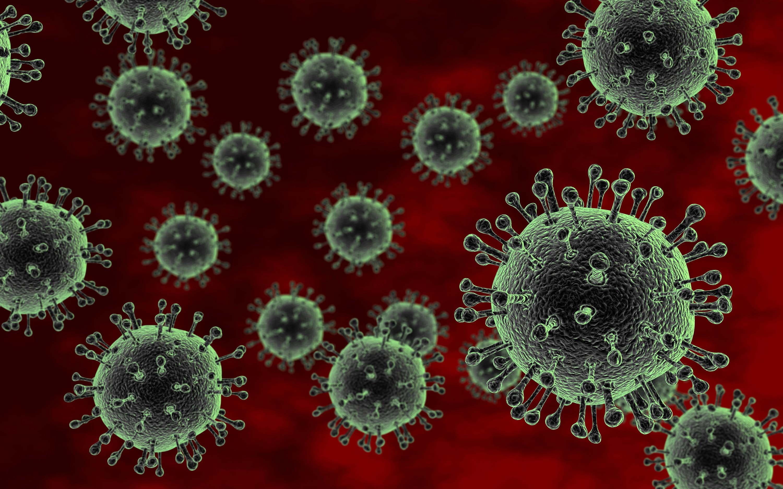 Disease, 2K, flu, Medical, Virus, HD Wallpaper