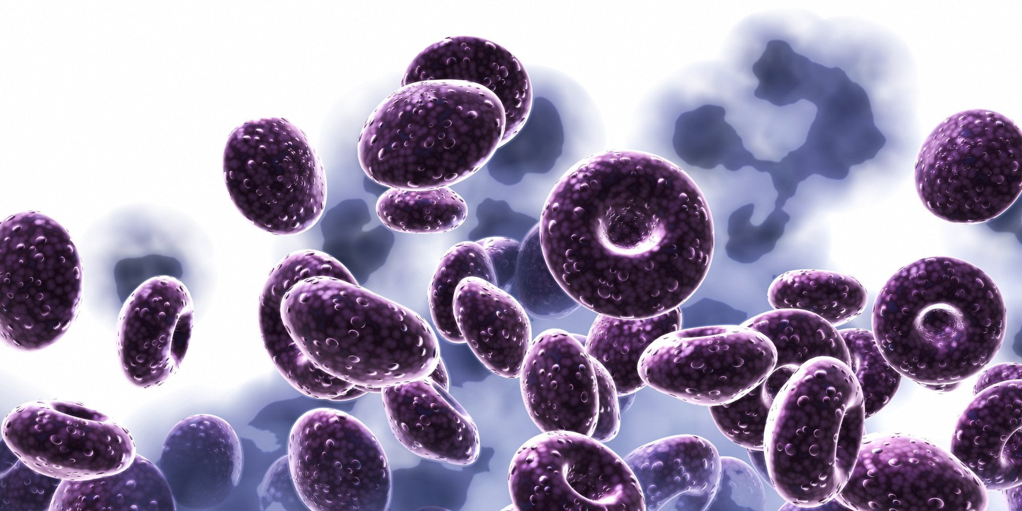 Medical, 1080P, flu, Disease, Virus, HD Wallpaper