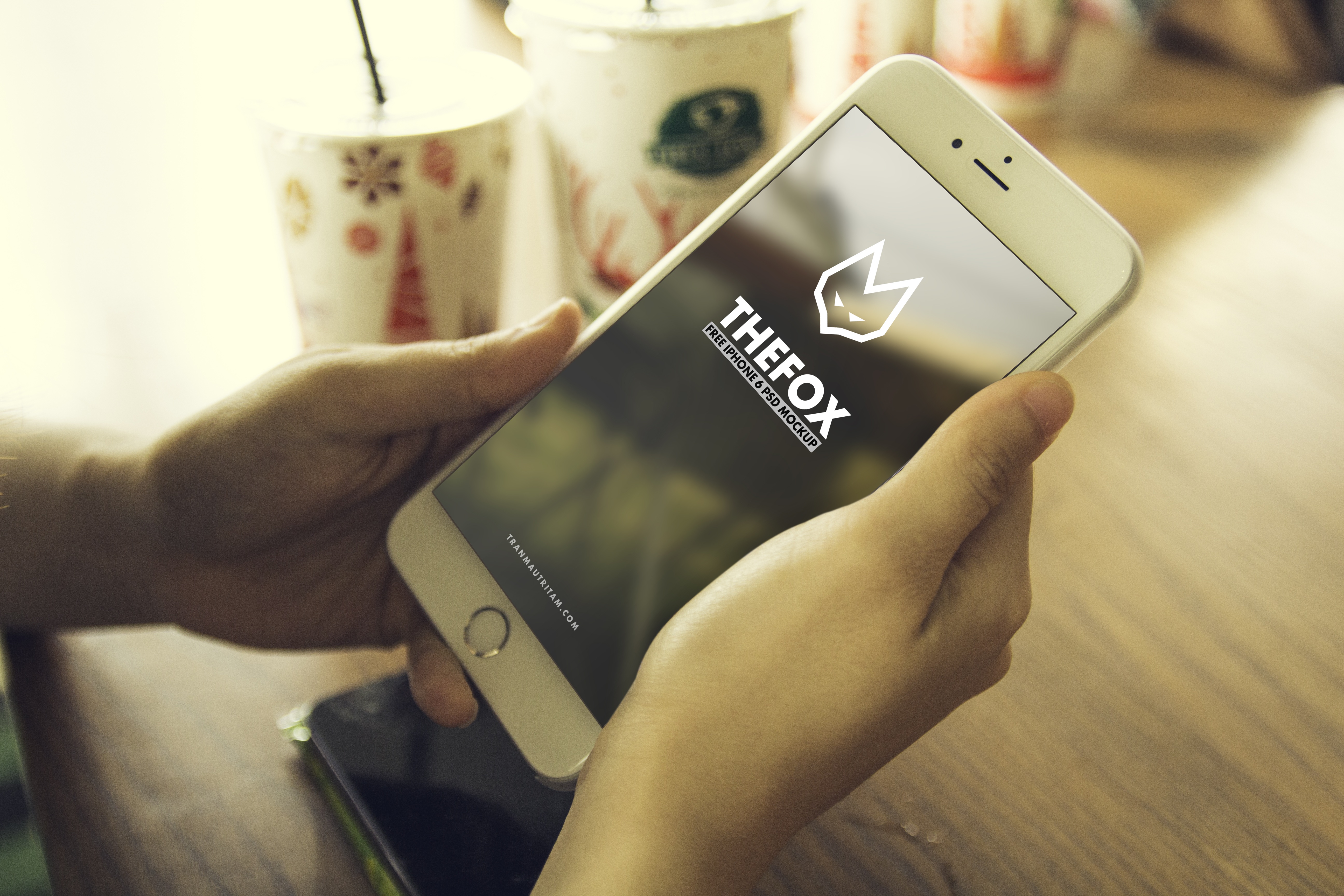 displaying, western script, silver, smart, display, hand, indoors, mobile Phone, phone, focus on foreground, text, connection, human Hand, finger, smart Phone, HD Wallpaper