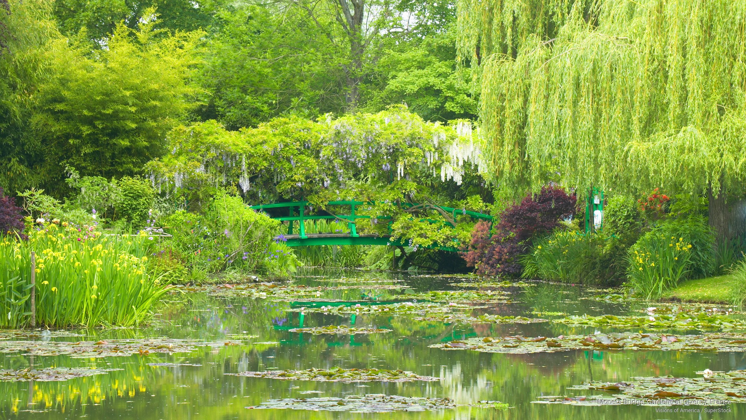 bridge, france, monets, gardens, giverny, Flowers/Gardens, 2K, HD Wallpaper