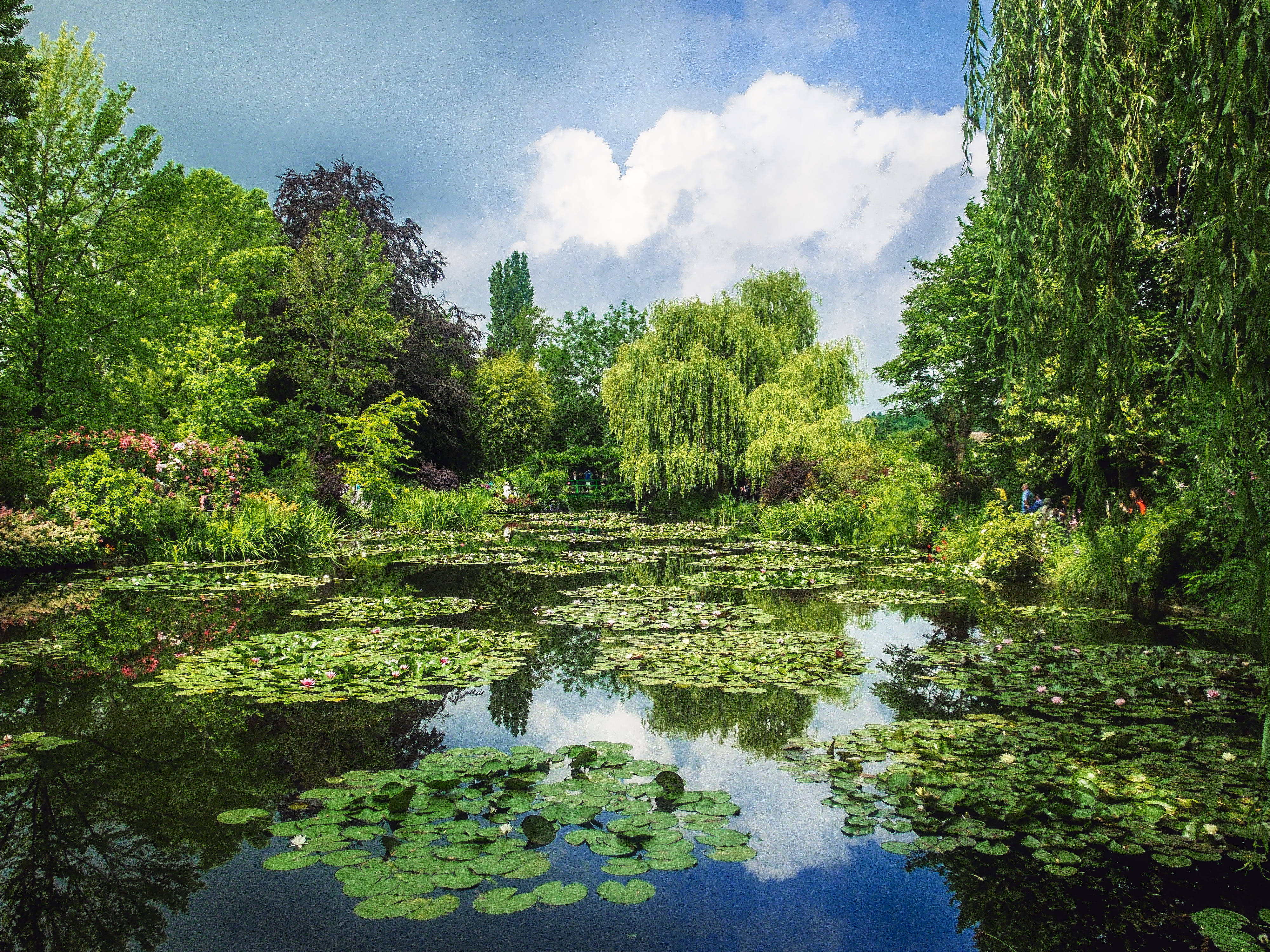 tranquil scene, beauty in nature, idyllic, Gardens, Giverny, green color, beside, green, trees, nature, 4K, scenics, lake, tranquility, scenics - nature, HD Wallpaper