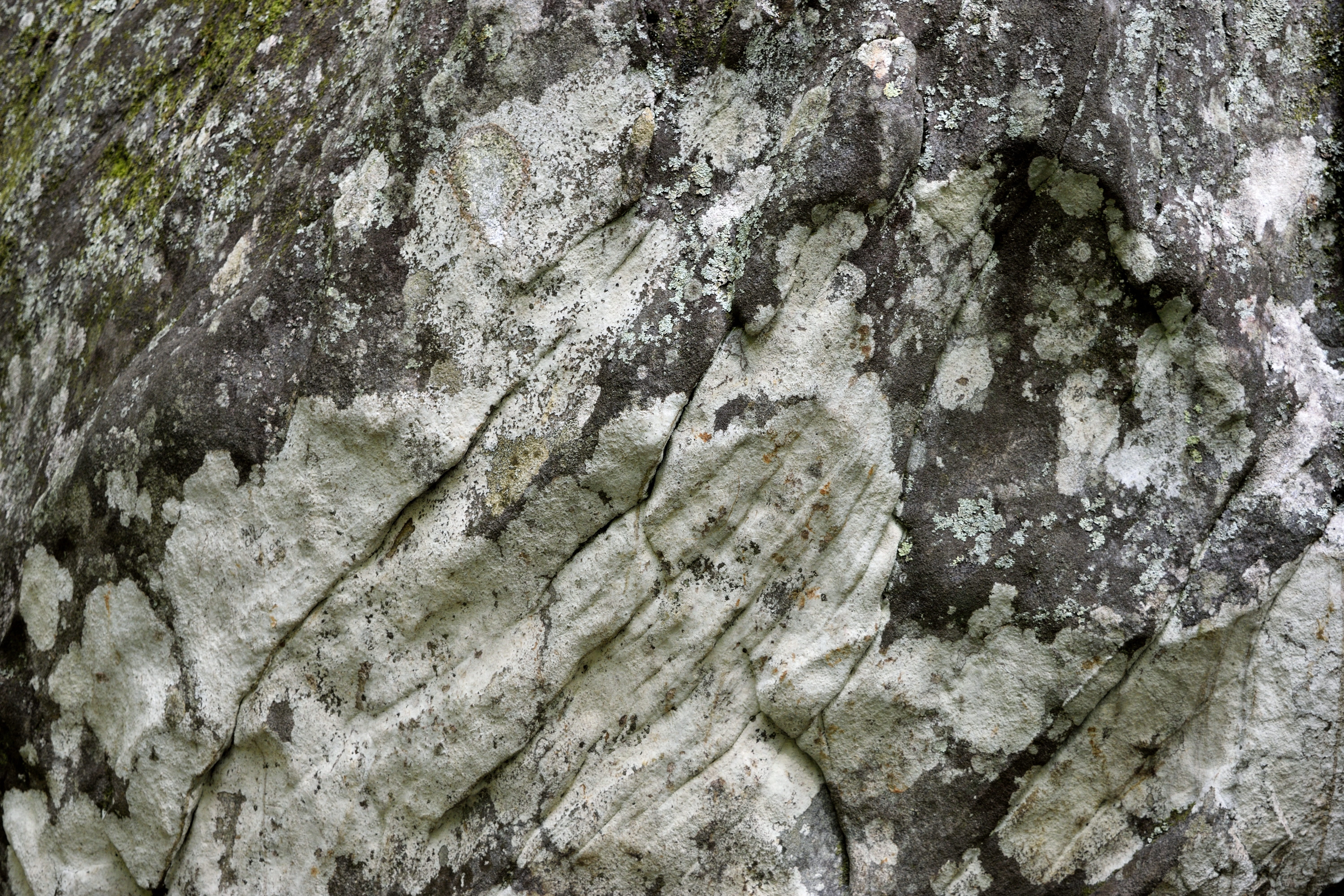 eroded, mineral, close-up, tree, solid, tree trunk, mountain rock, backdrop, geology, lichen, rock formation, plant, bolder rock, textured, backgrounds, HD Wallpaper