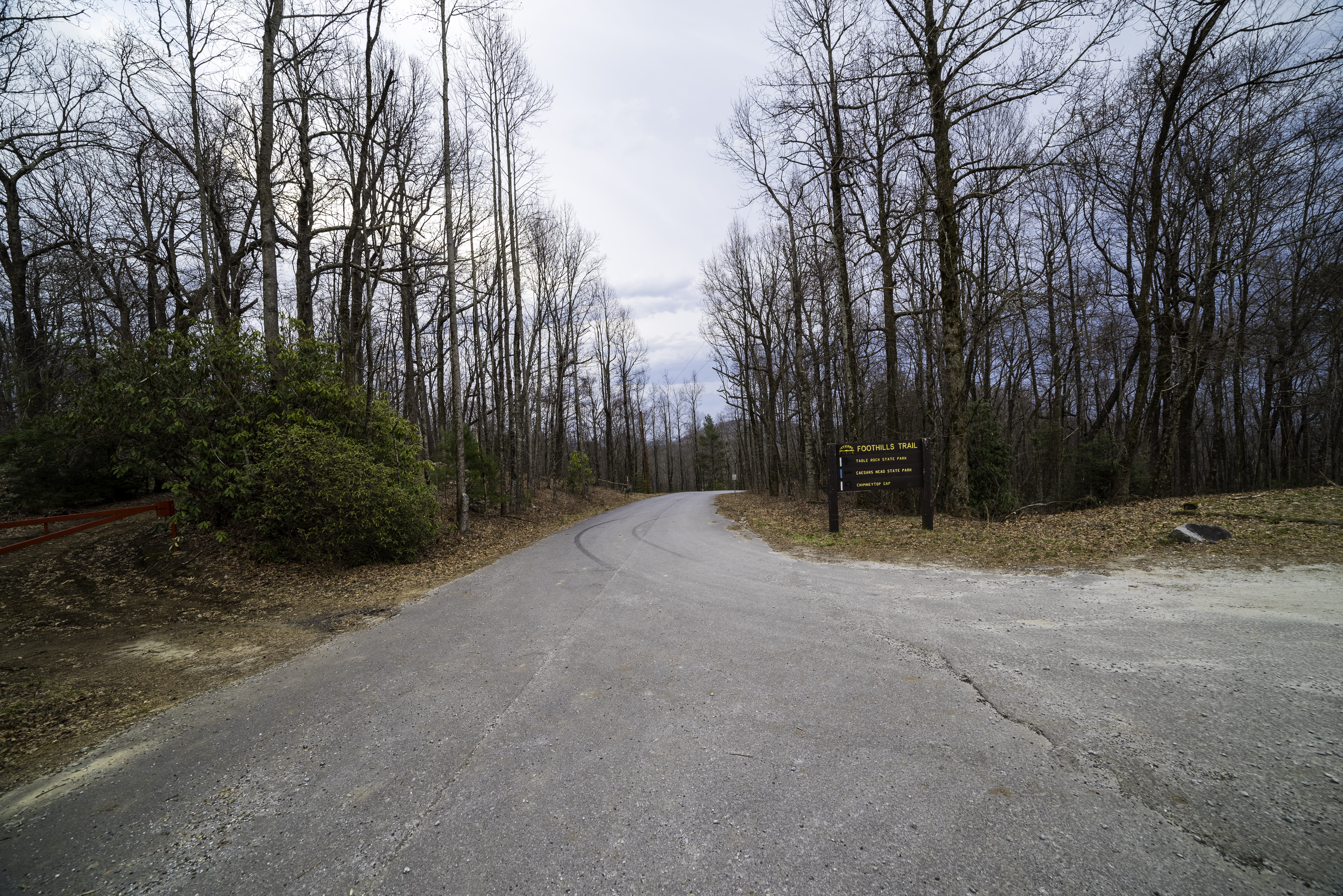 tranquility, Road, mountaintop, 5K, forest, diminishing perspective, carolina, trees, summit, plant, outdoors, direction, long, Sassafras Mountain, public domain, HD Wallpaper